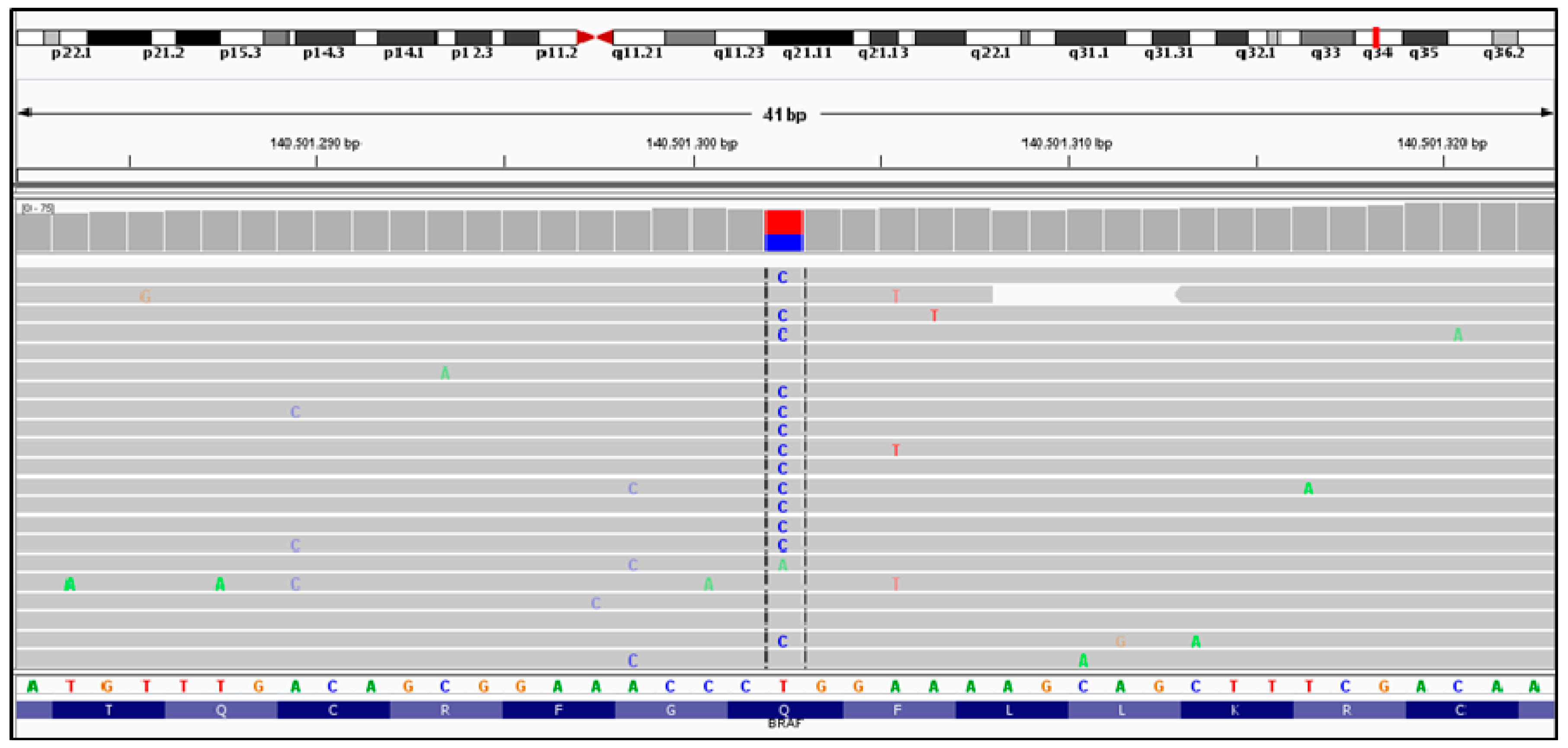 Ijms 17 00952 g002 1024