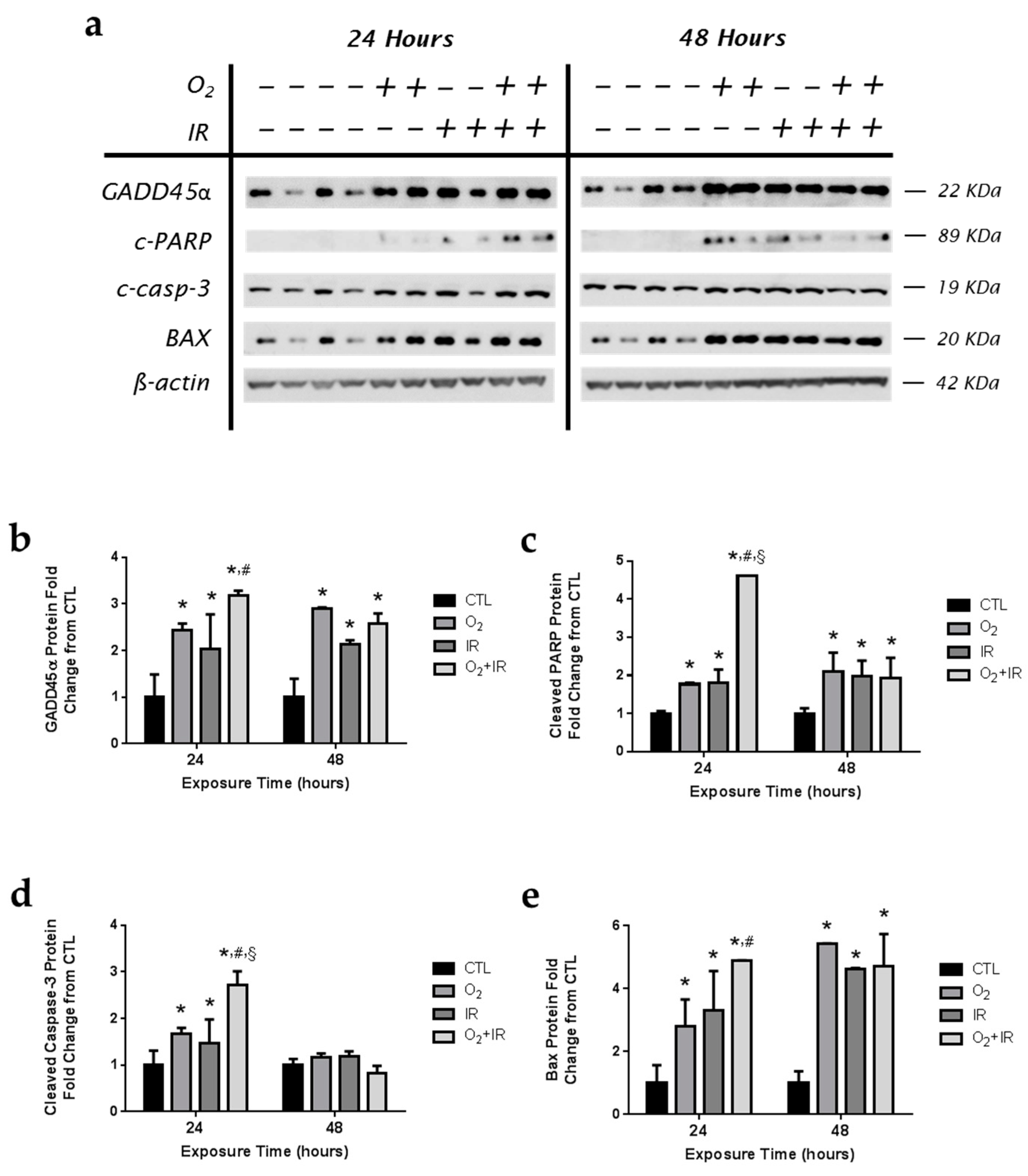 Ijms 17 00953 g008 1024
