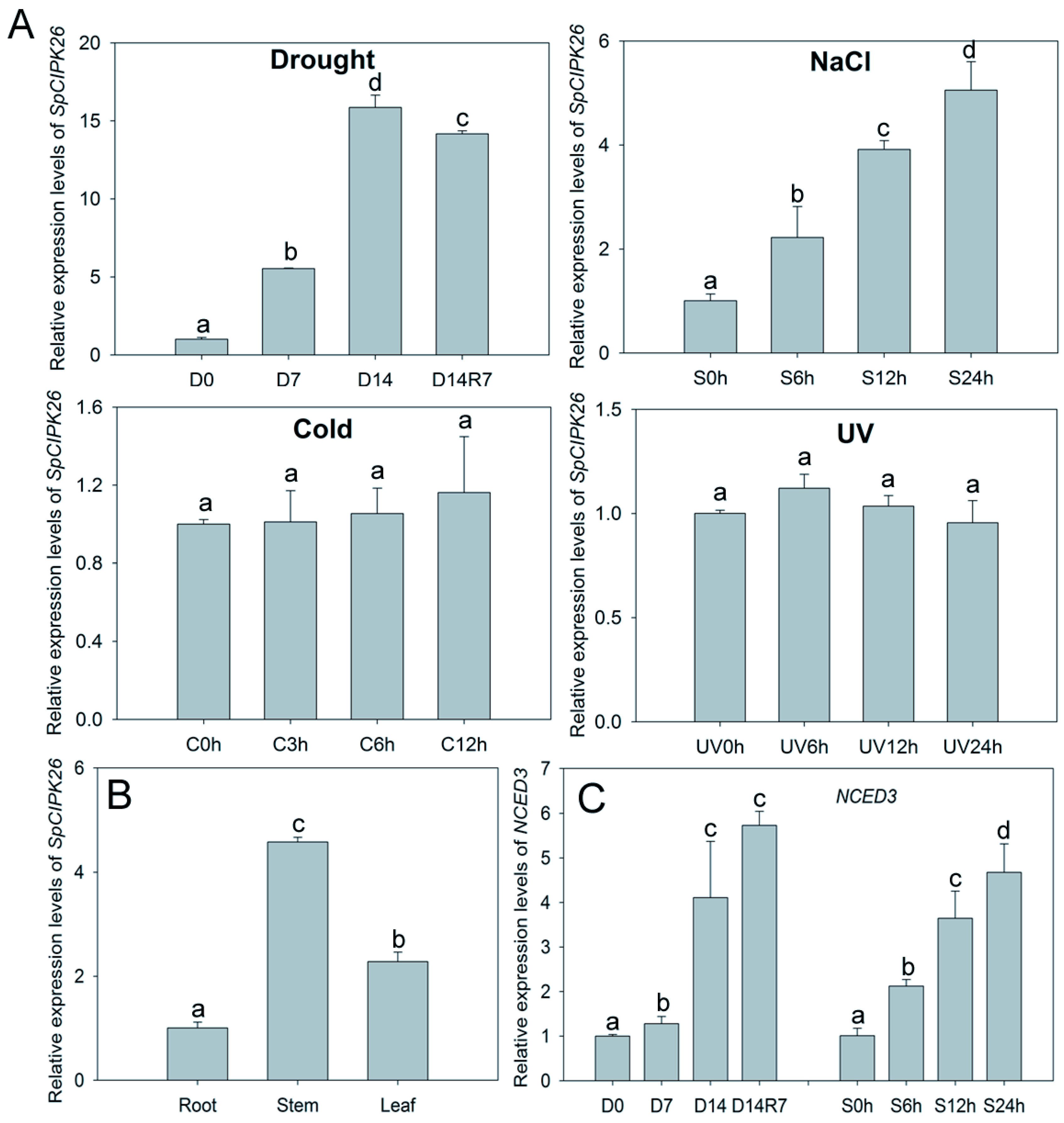 Ijms 17 00966 g002 1024