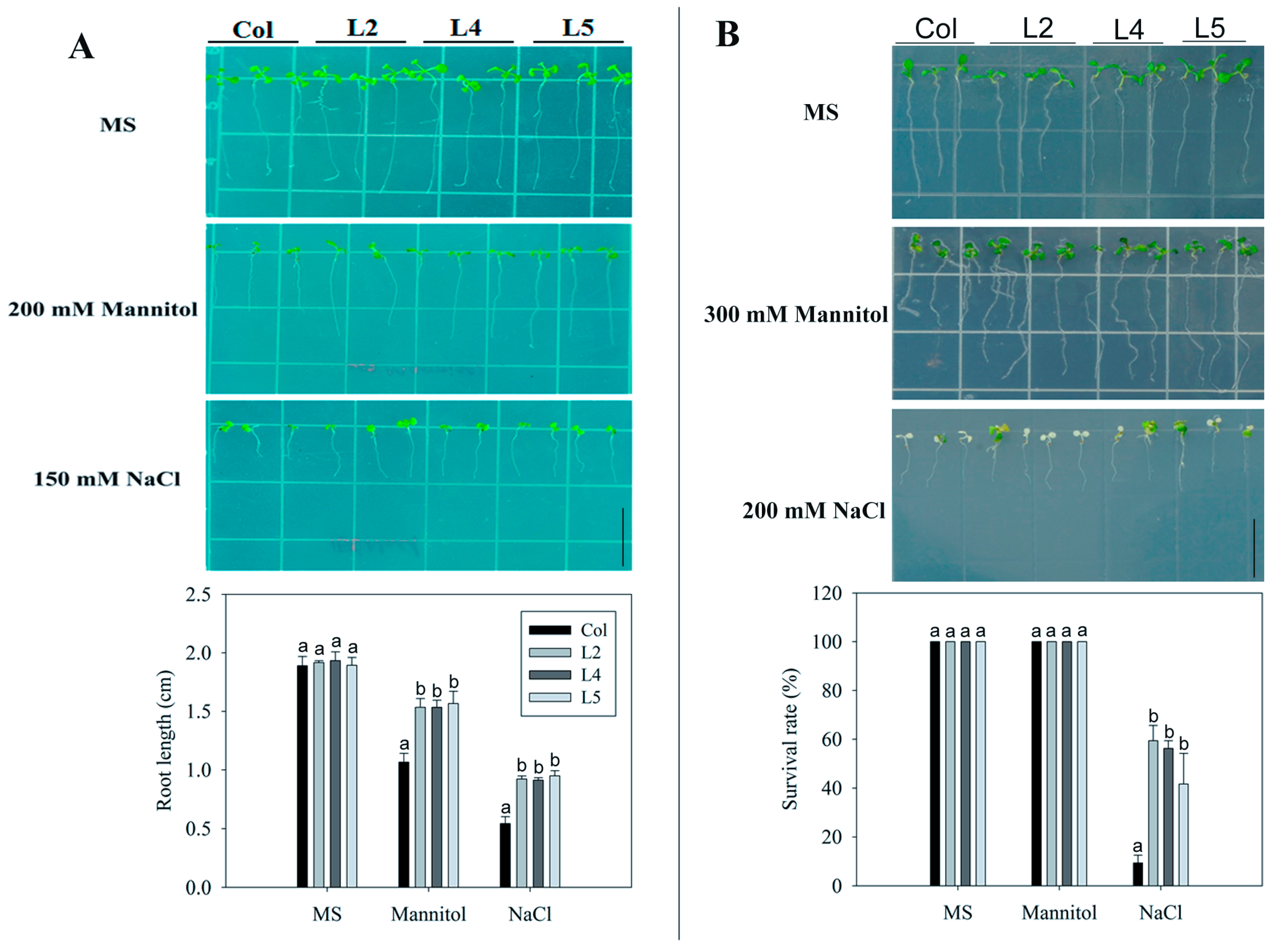 Ijms 17 00966 g003 1024