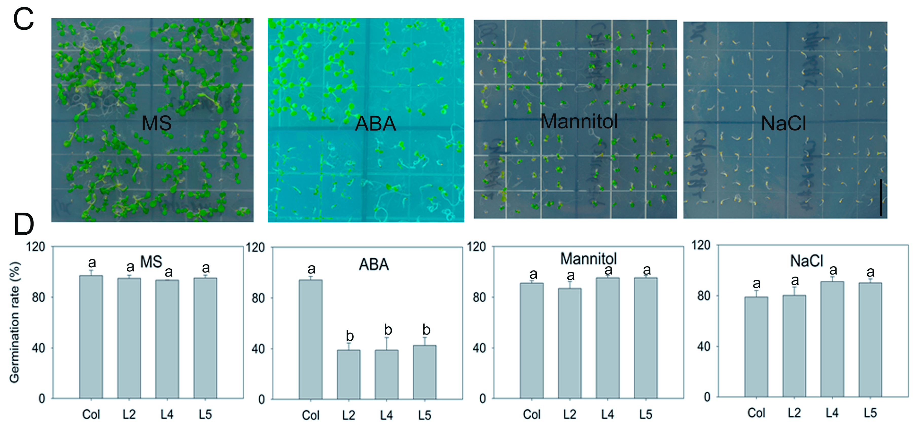 Ijms 17 00966 g007b 1024