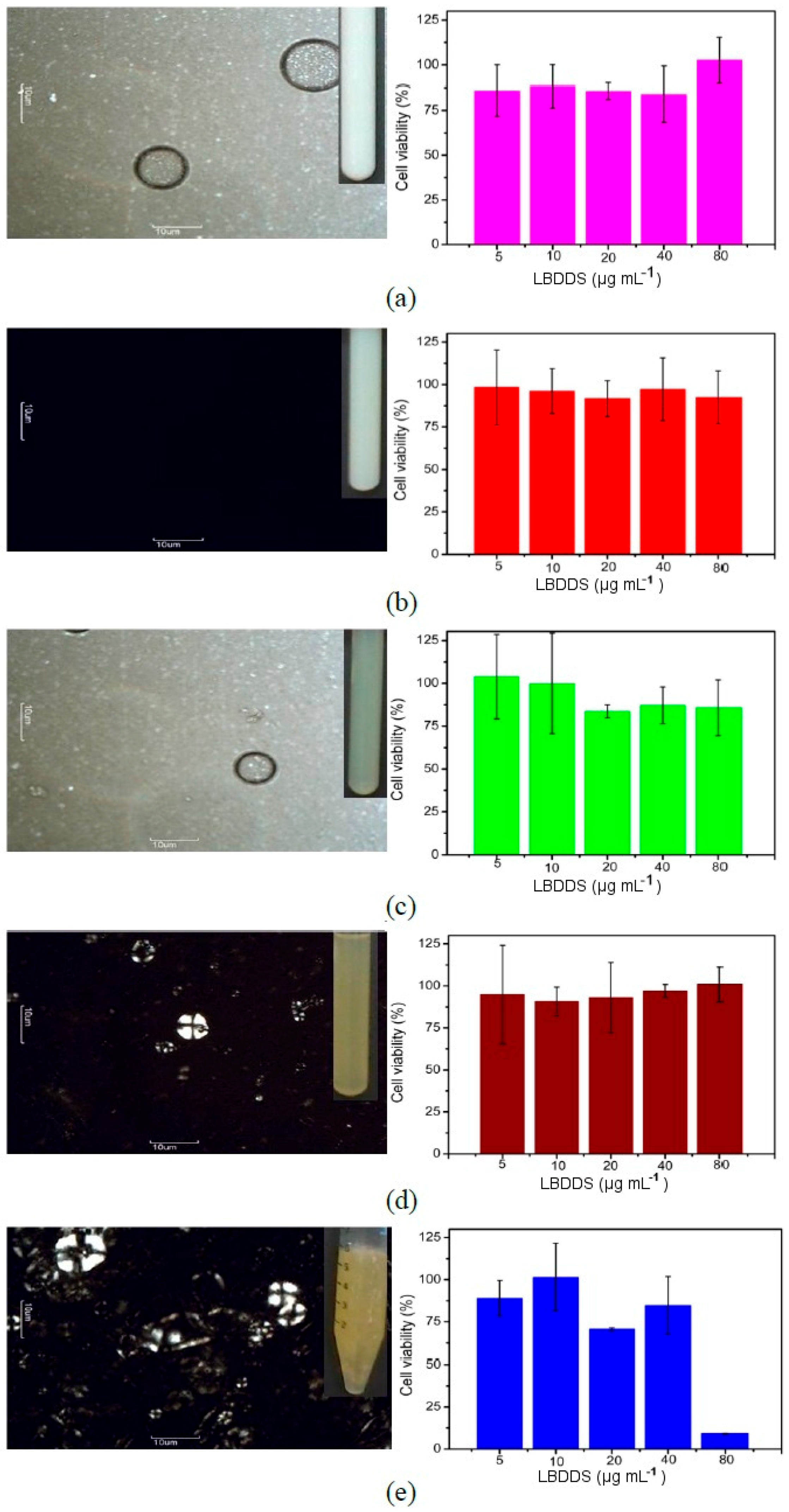 Ijms 17 00981 g004 1024