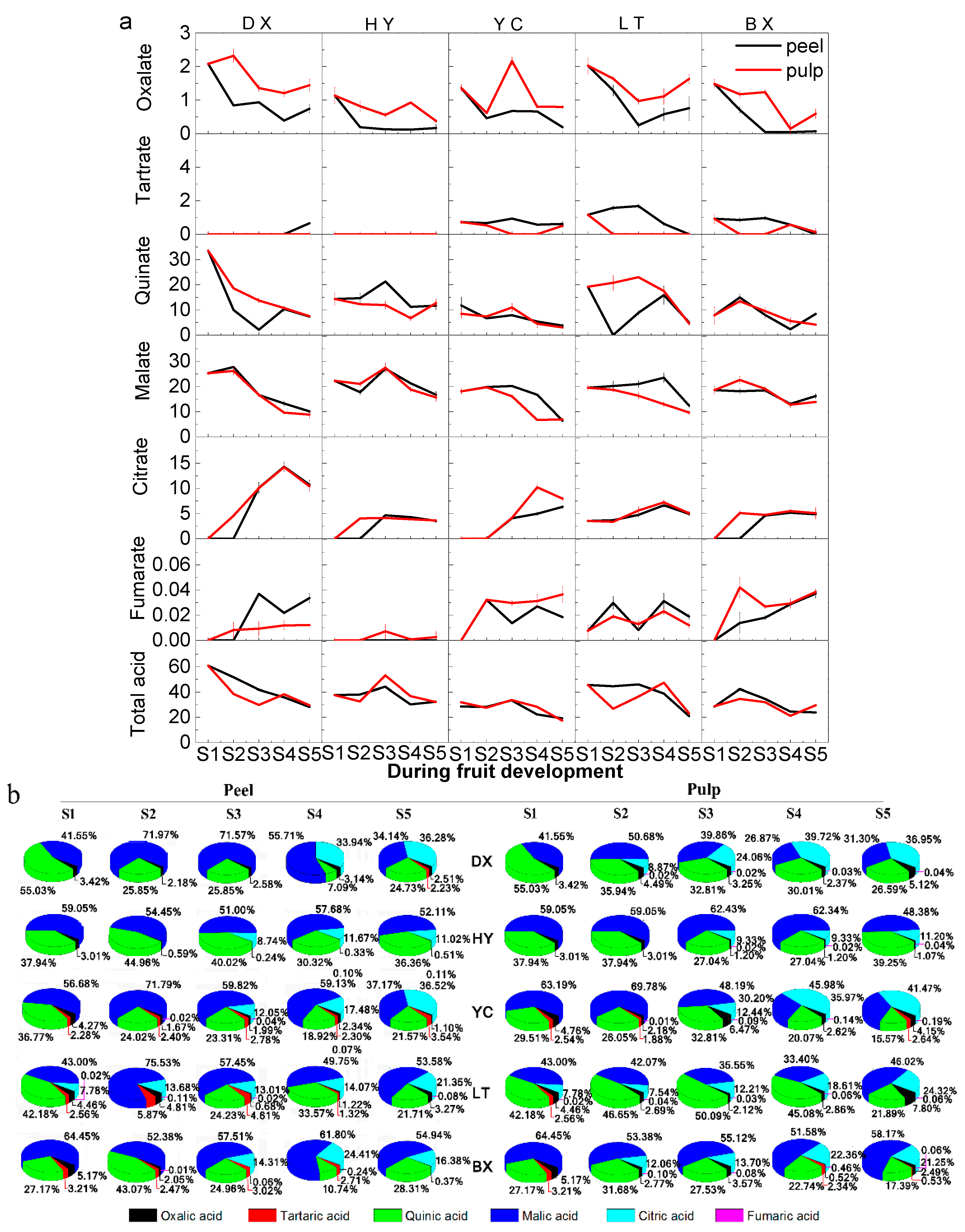 Ijms 17 00998 g004 1024