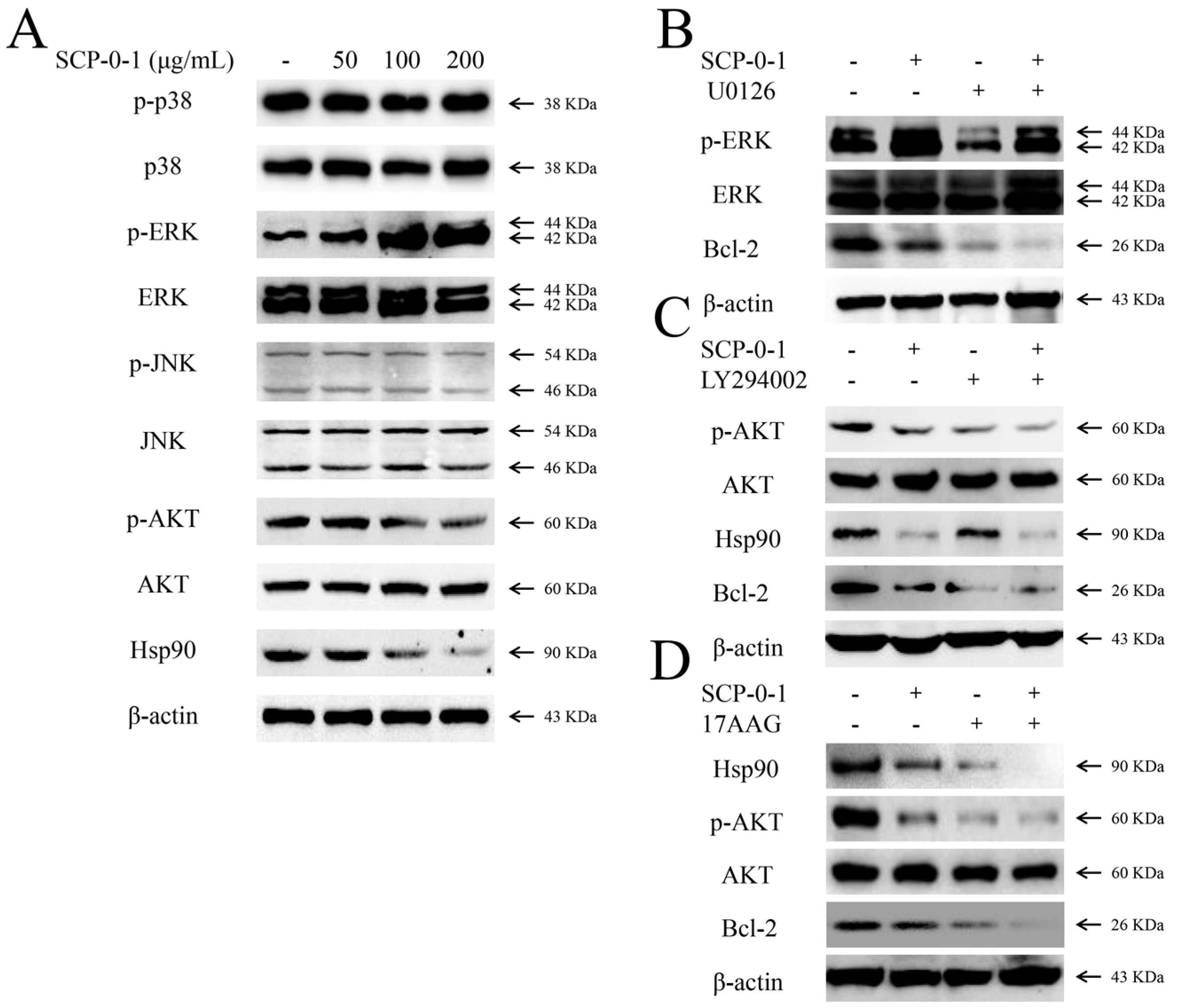 Ijms 17 01015 g005 1024