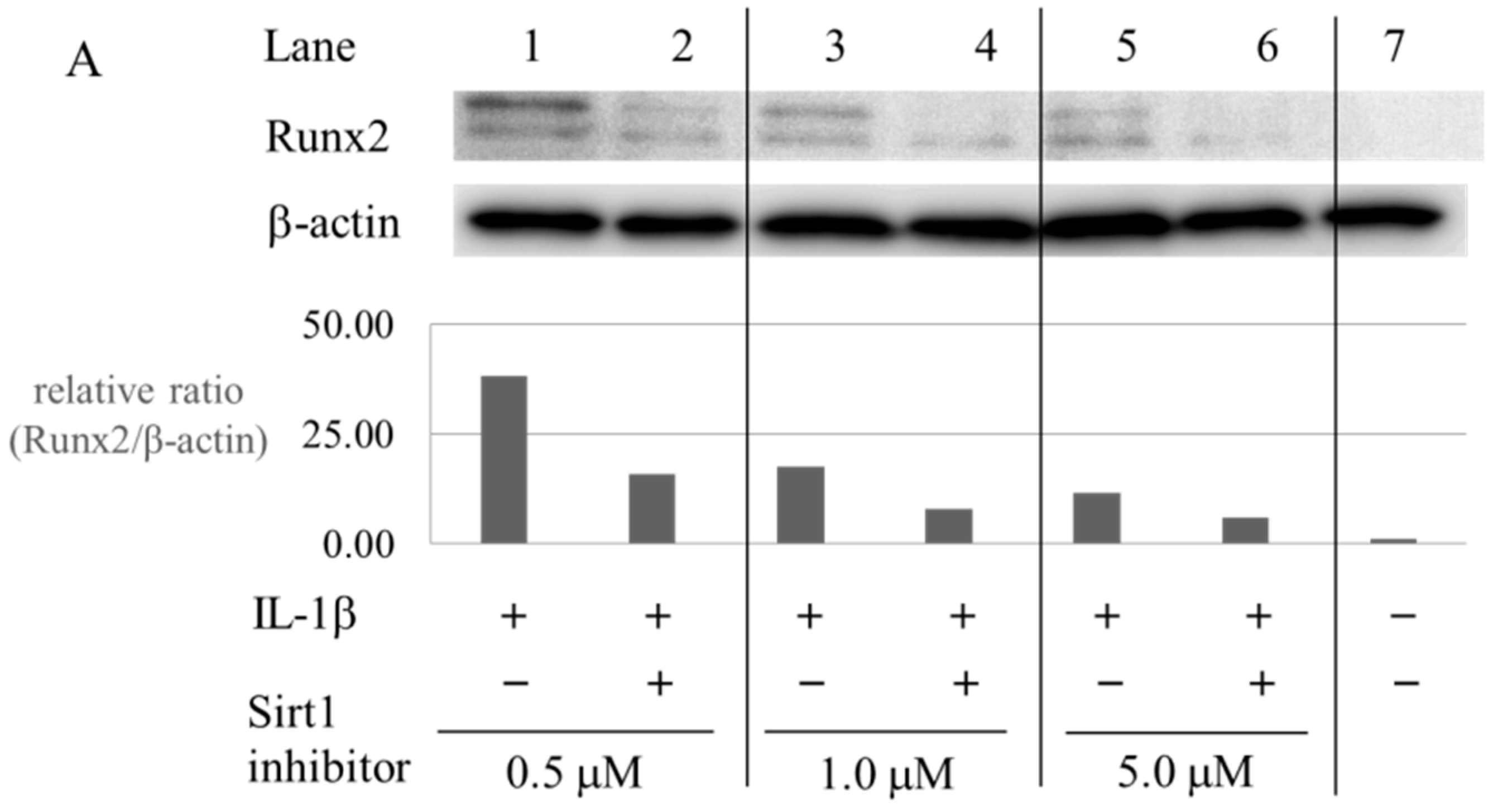 Ijms 17 01019 g005a 1024