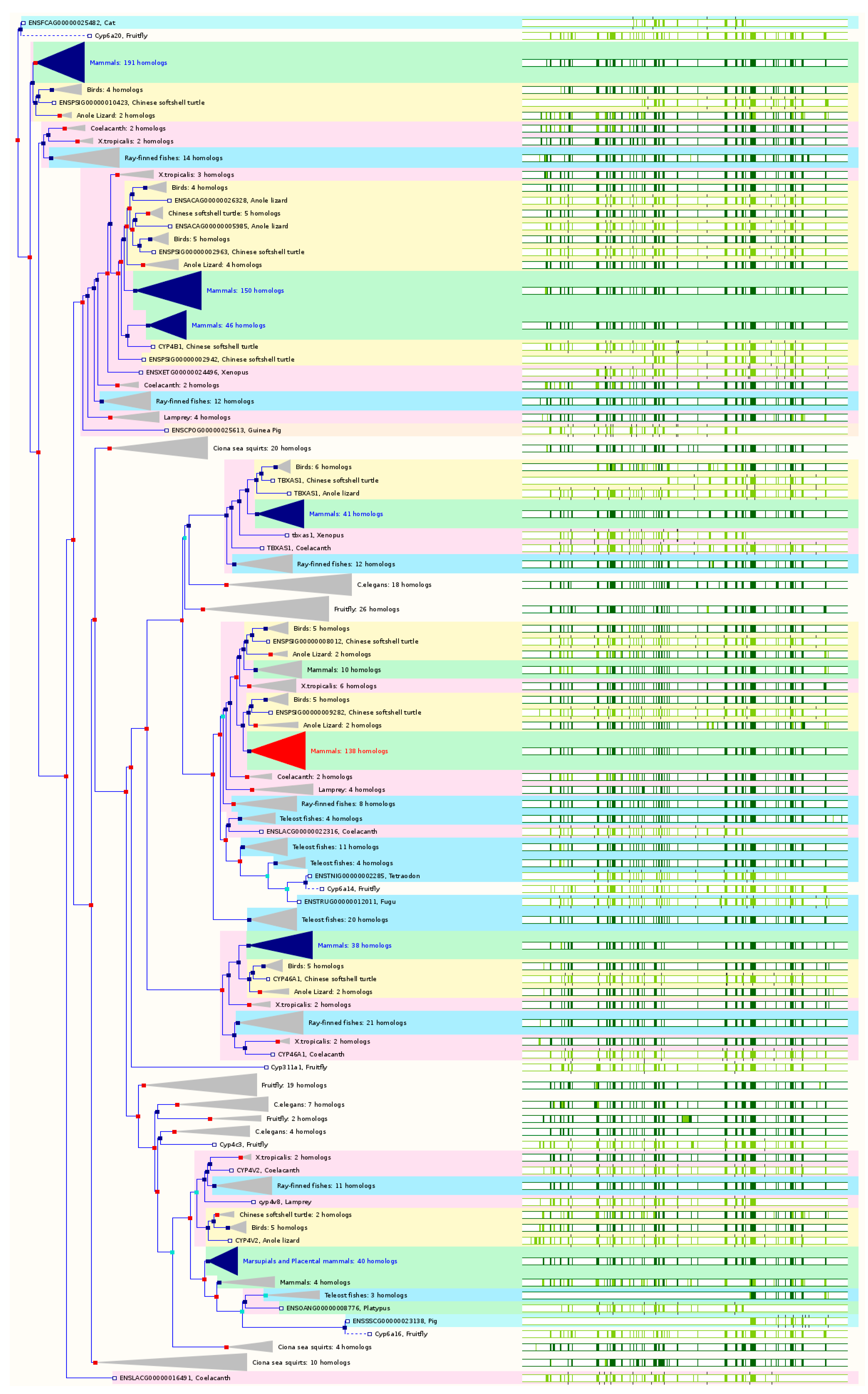 Ijms 17 01020 g004a