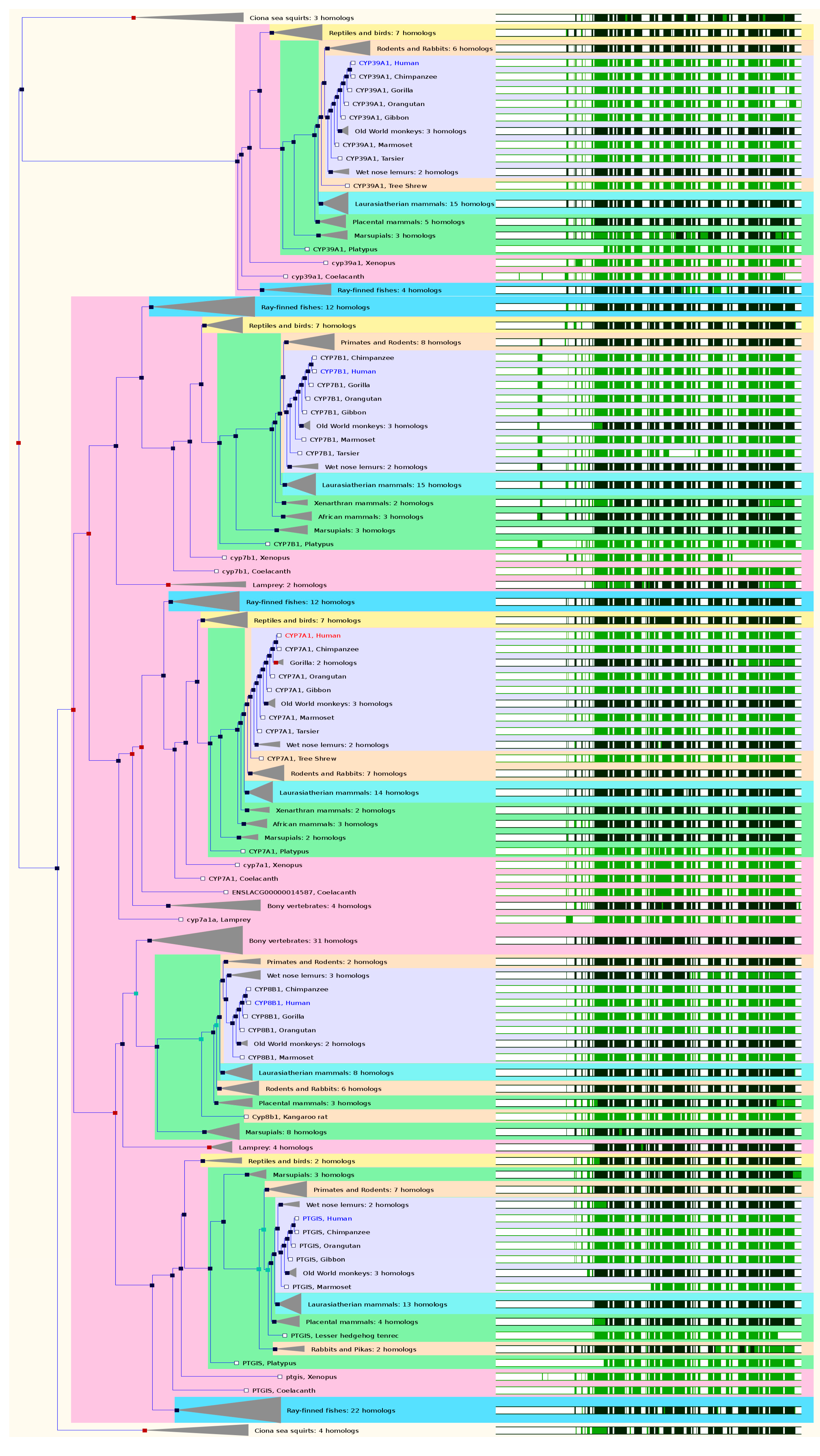 Ijms 17 01020 g005a