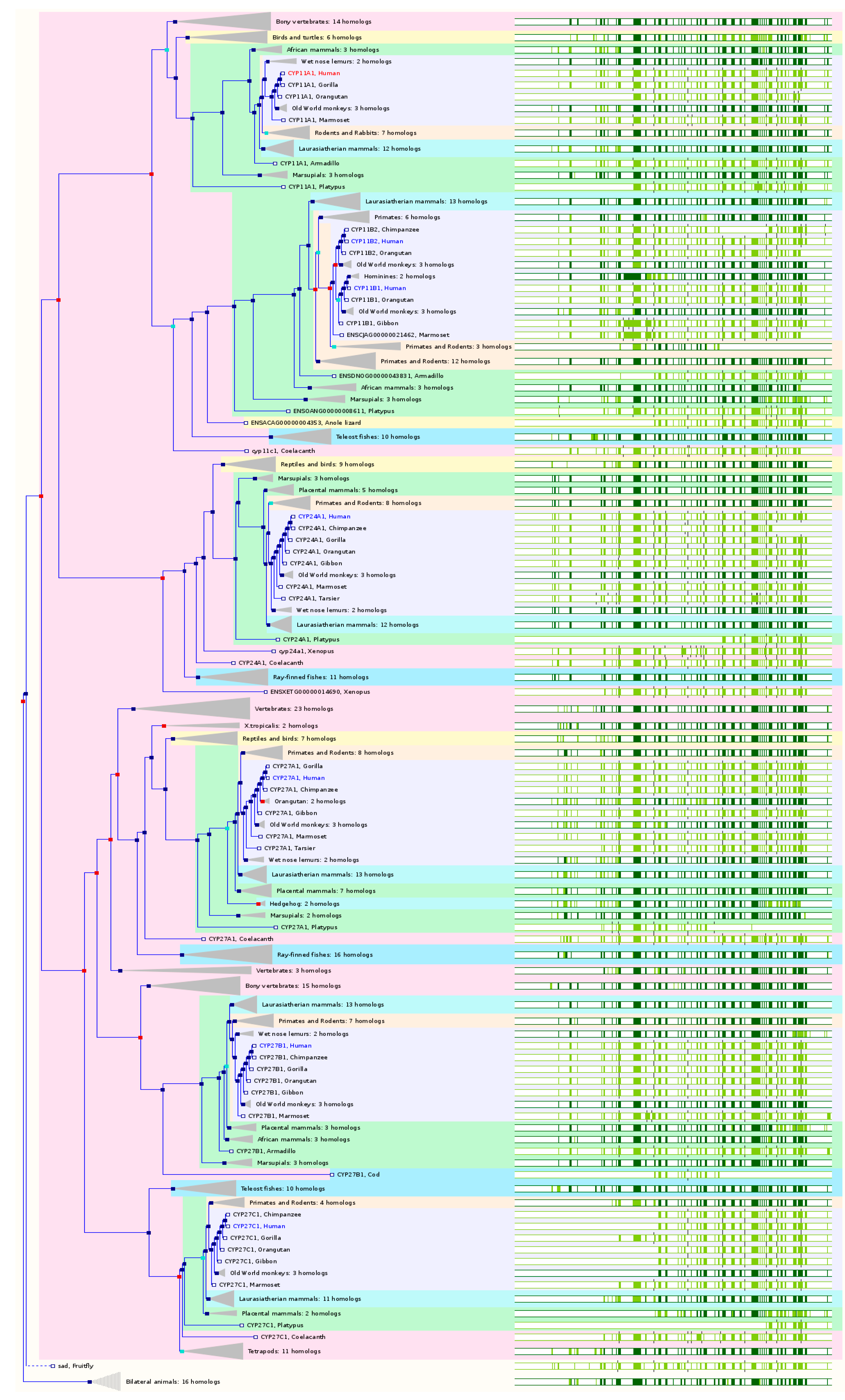 Ijms 17 01020 g006a