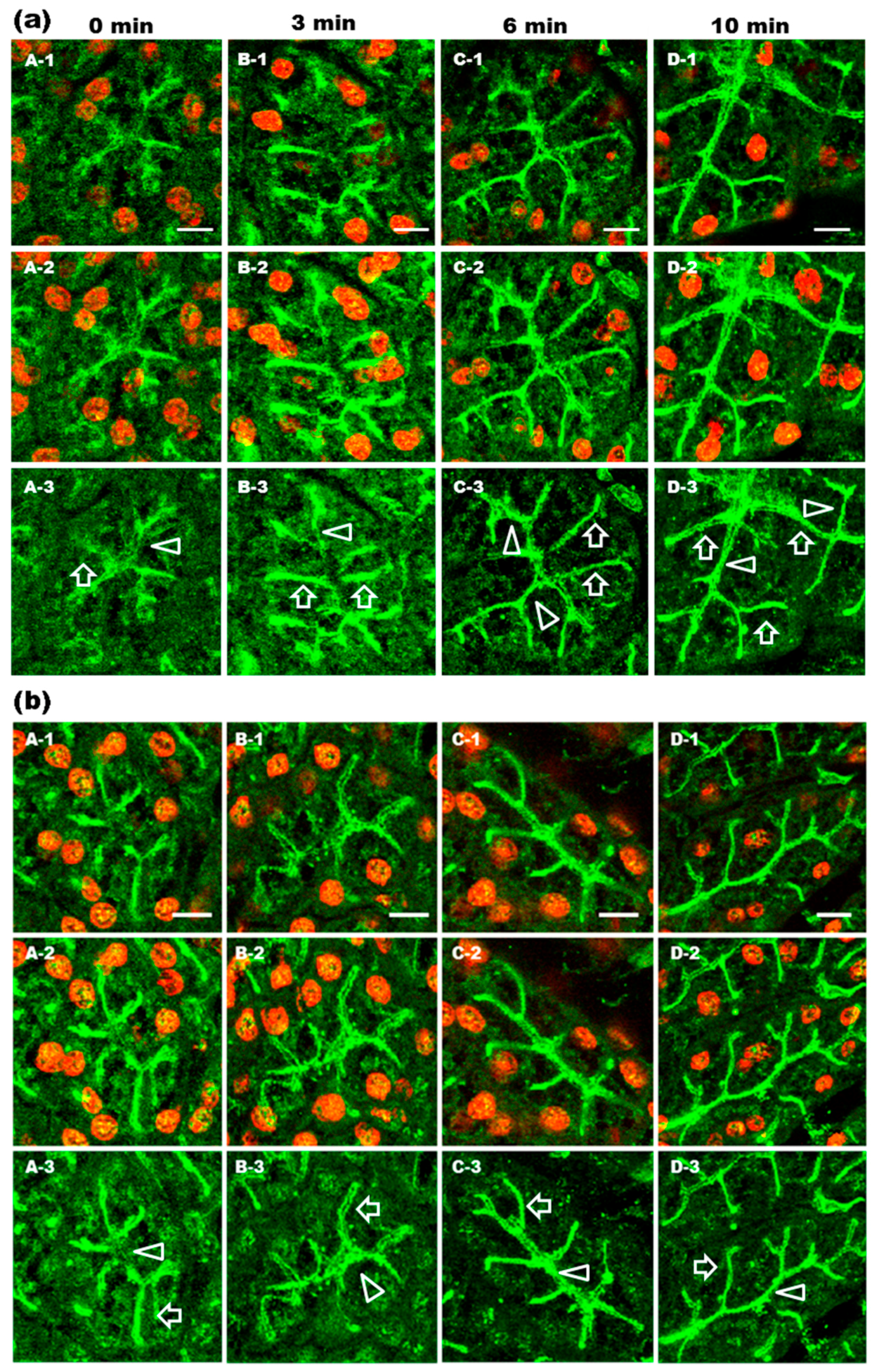 Ijms 17 01022 g001 1024