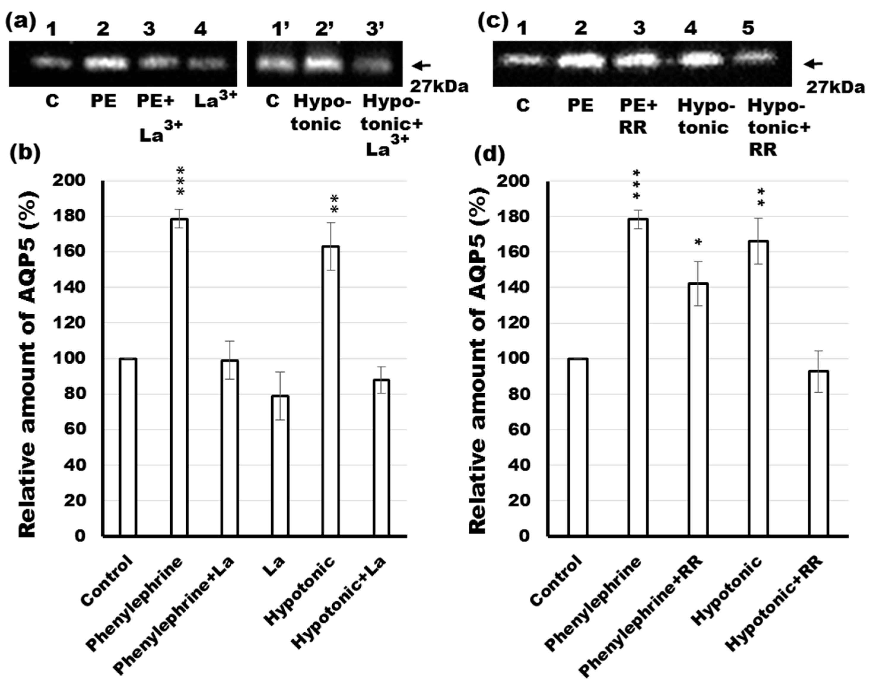 Ijms 17 01022 g008 1024