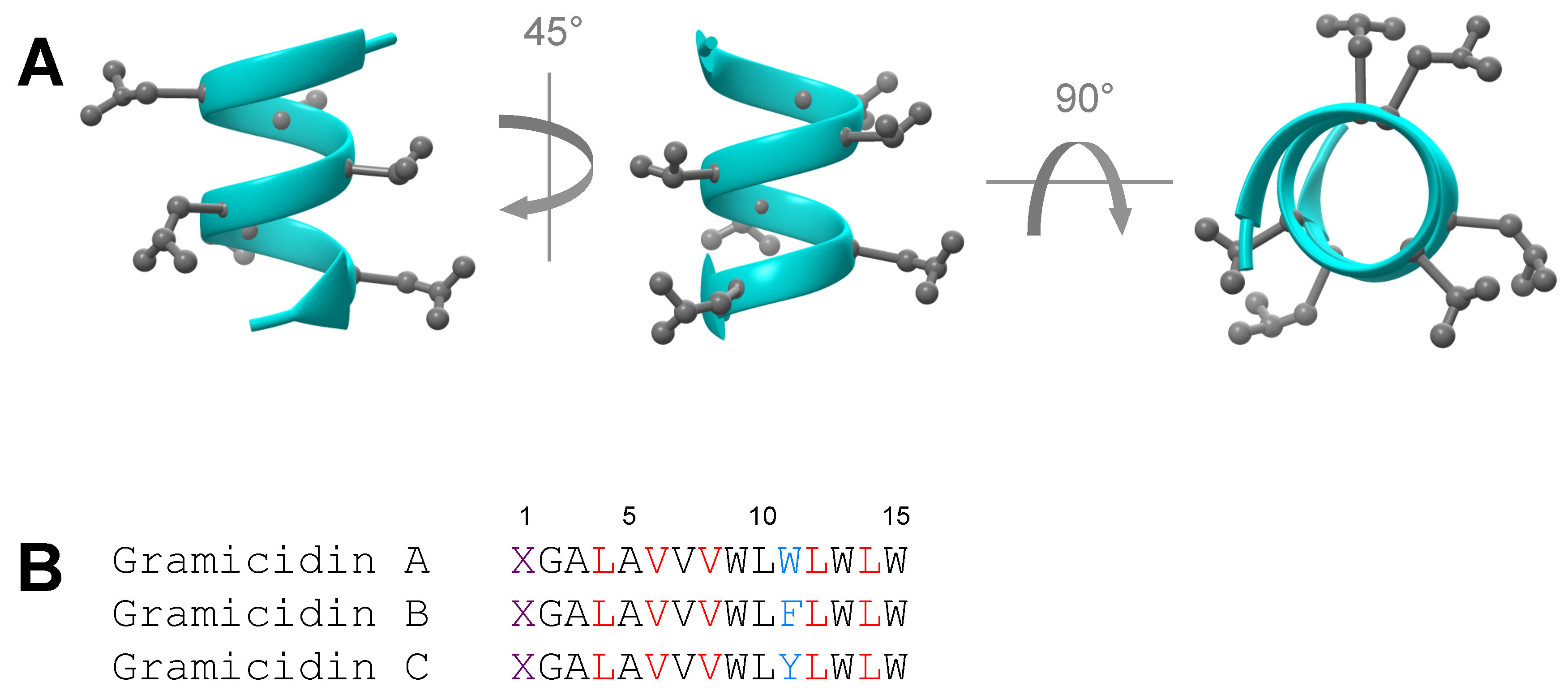 Ijms 17 01023 g001