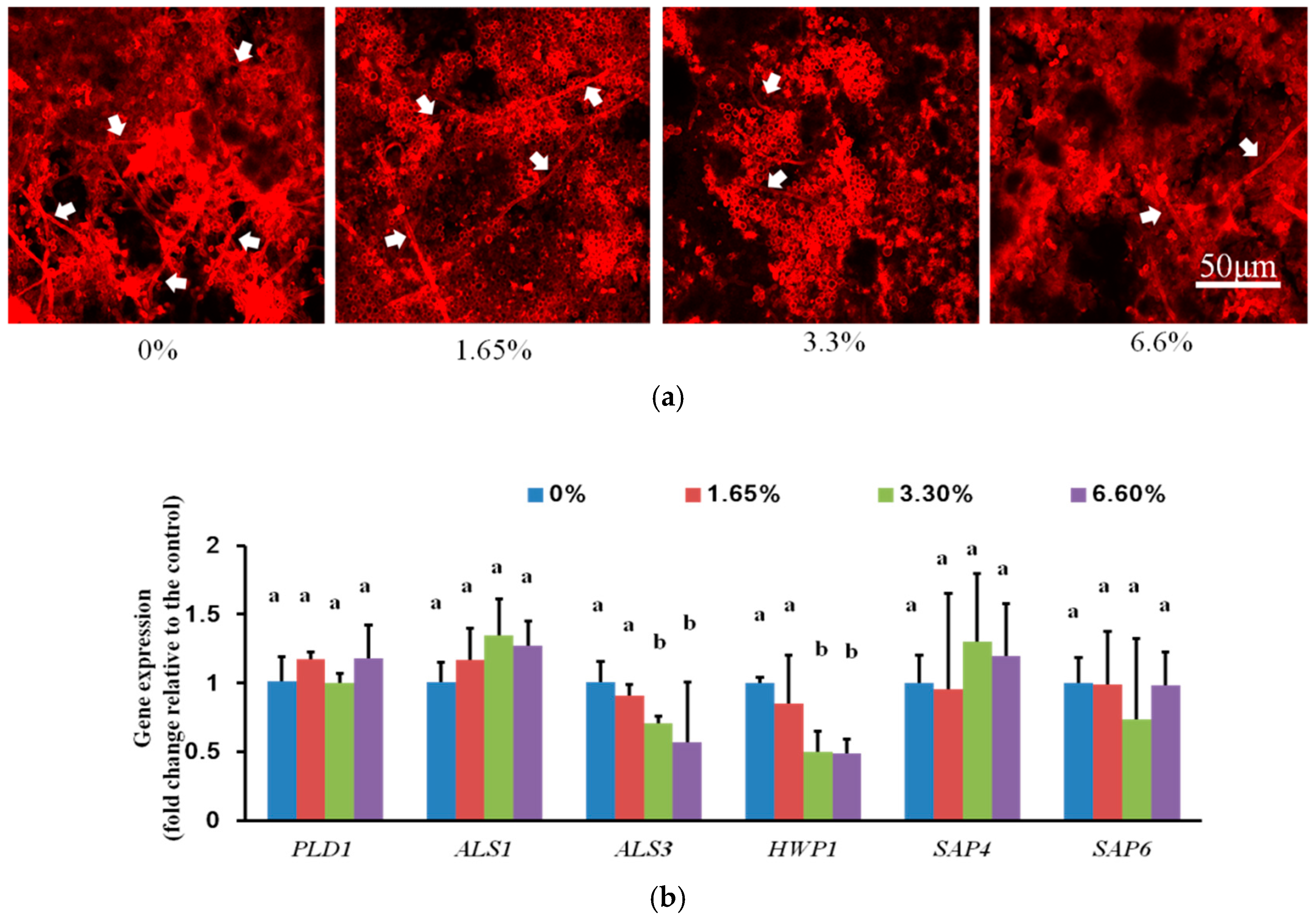 Ijms 17 01033 g003 1024