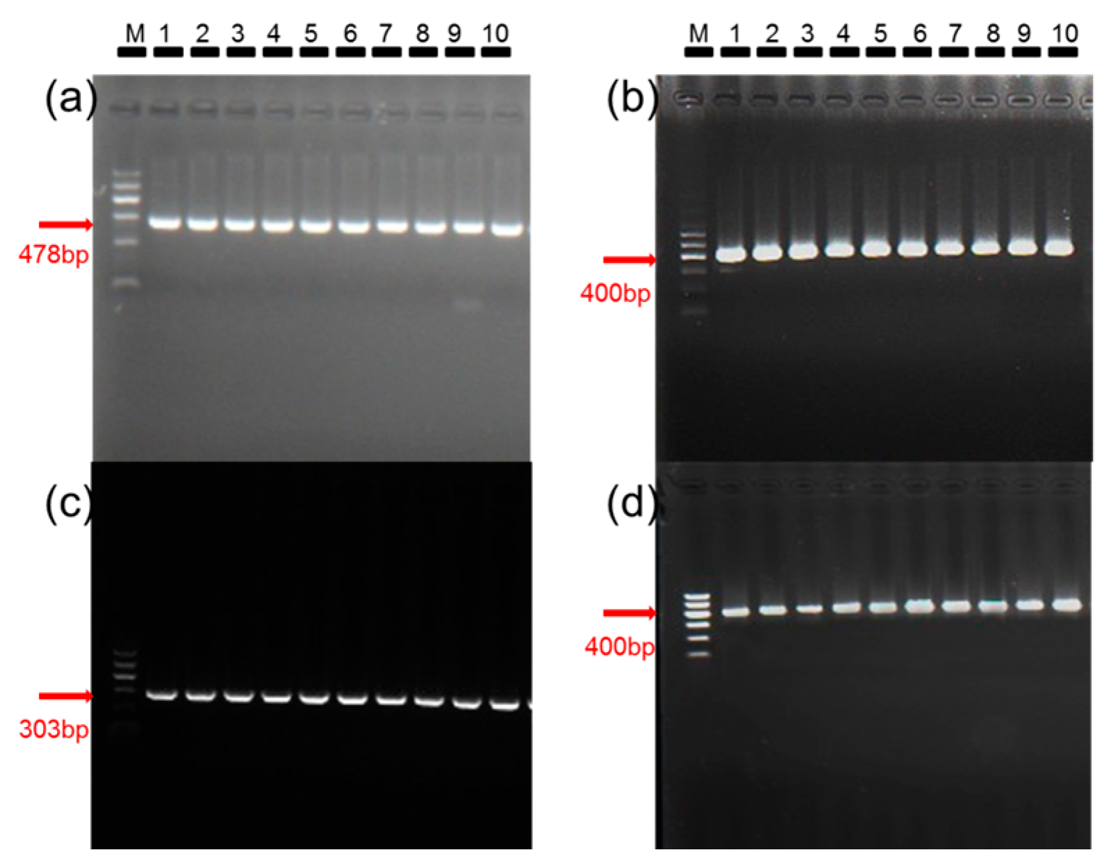 Ijms 17 01048 g001