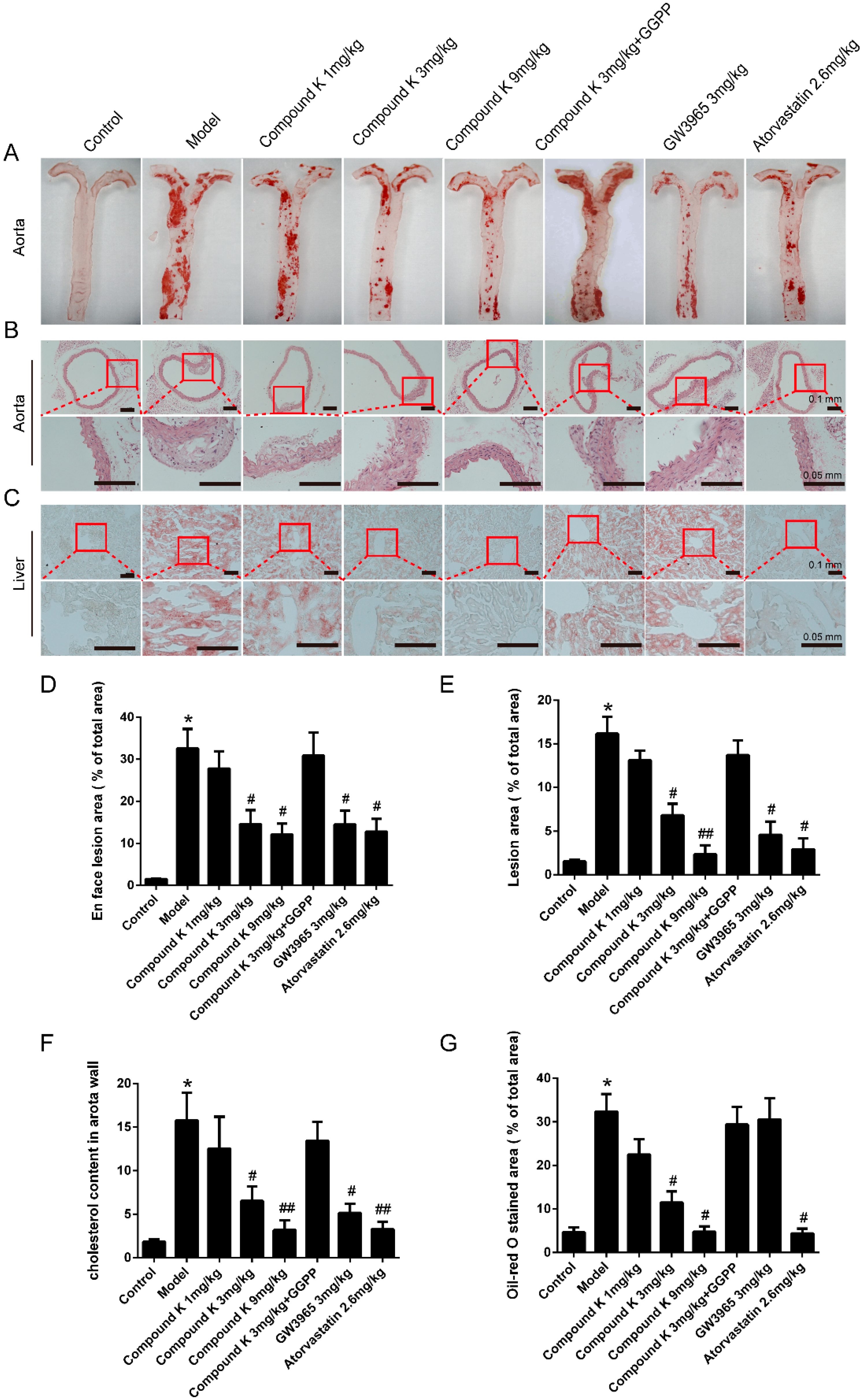 Ijms 17 01054 g001 1024