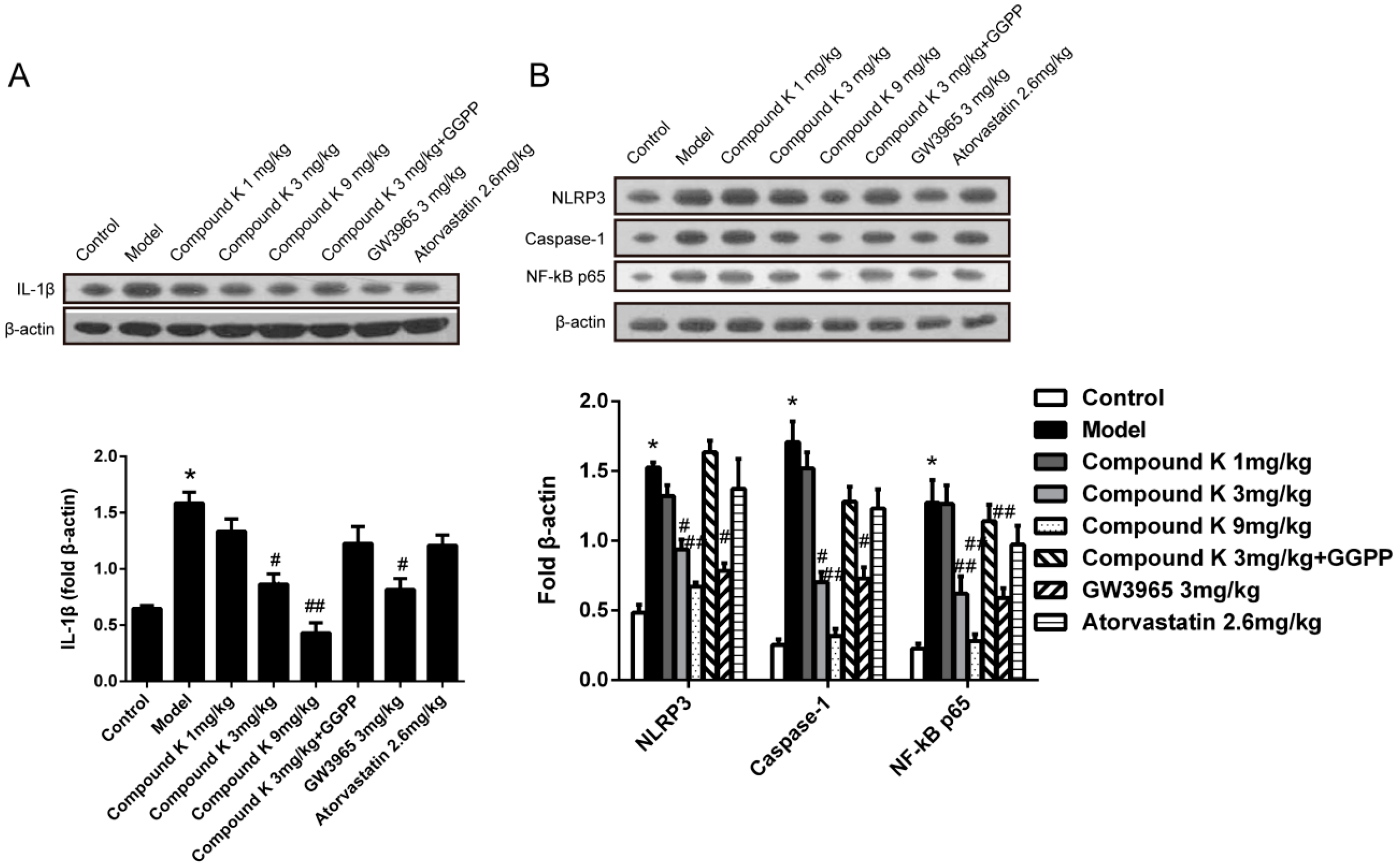 Ijms 17 01054 g003 1024