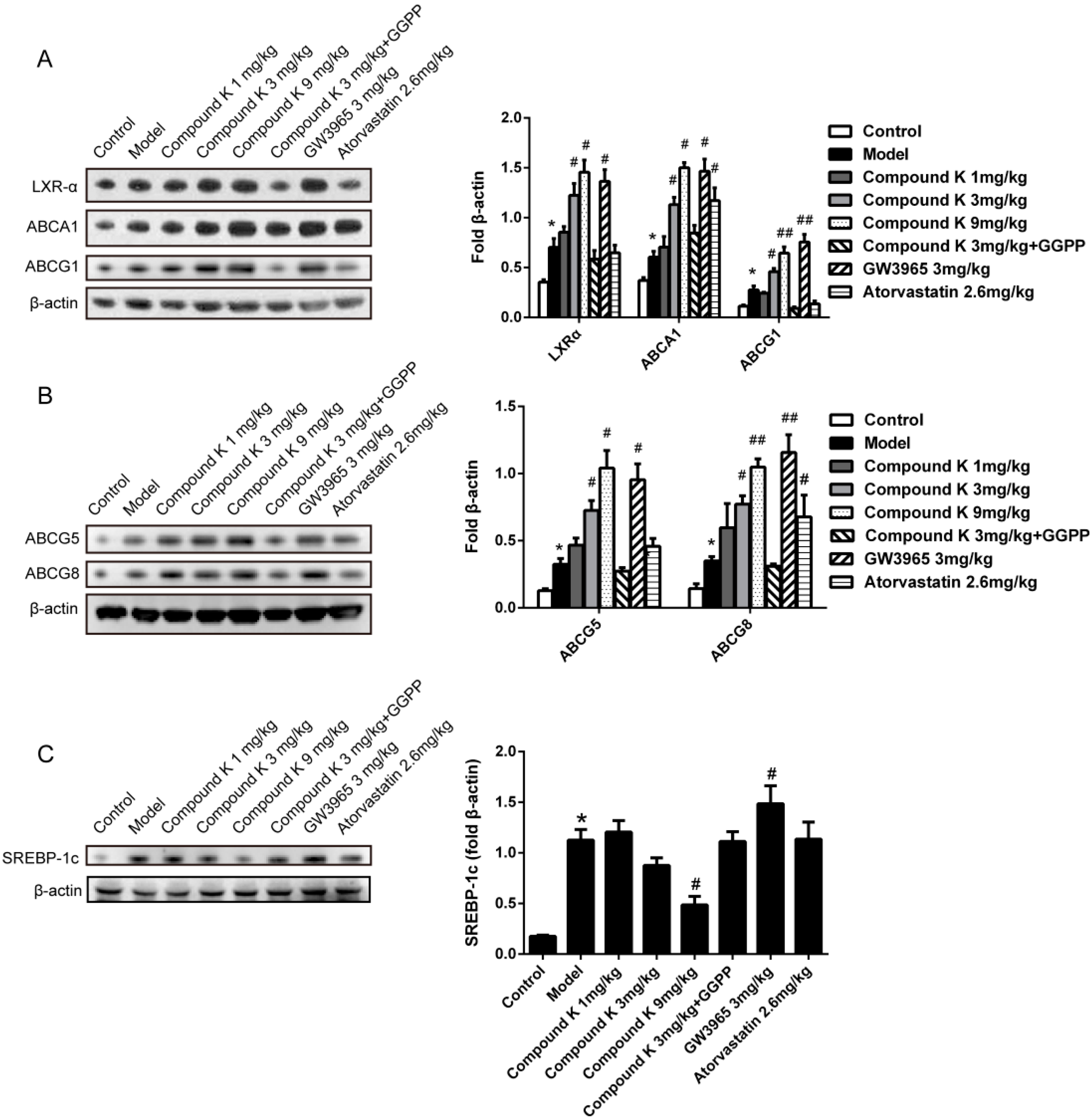 Ijms 17 01054 g004 1024