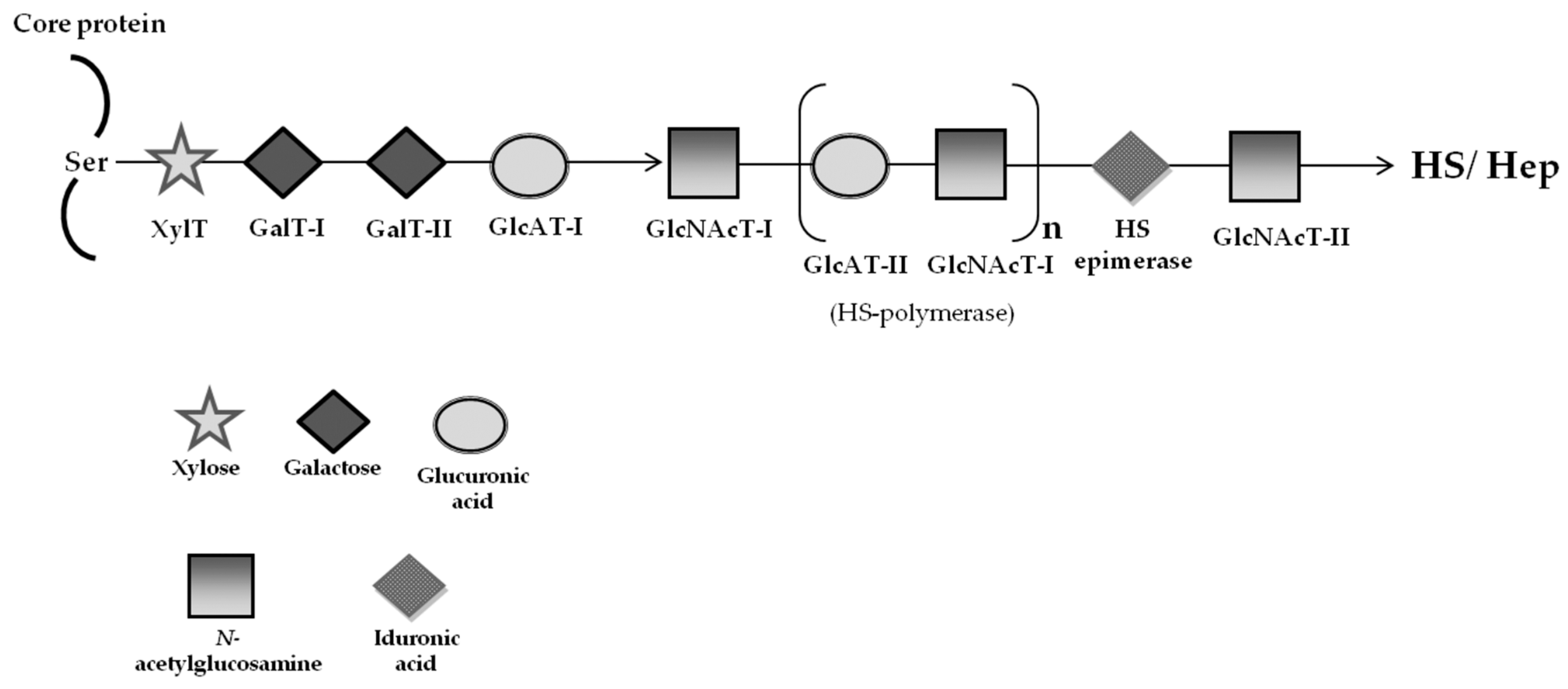 Ijms 17 01065 g002