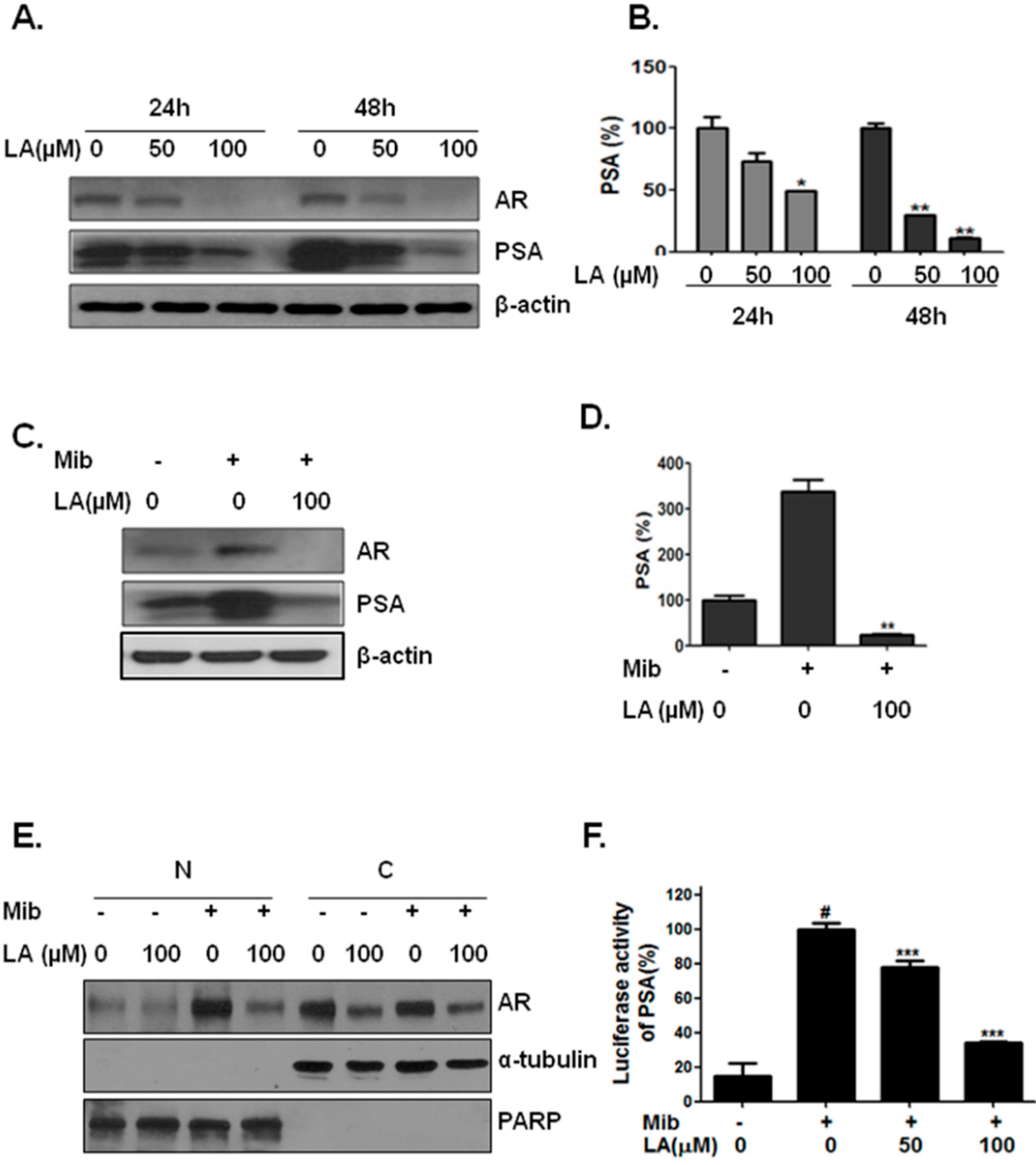 Ijms 17 01066 g003 1024