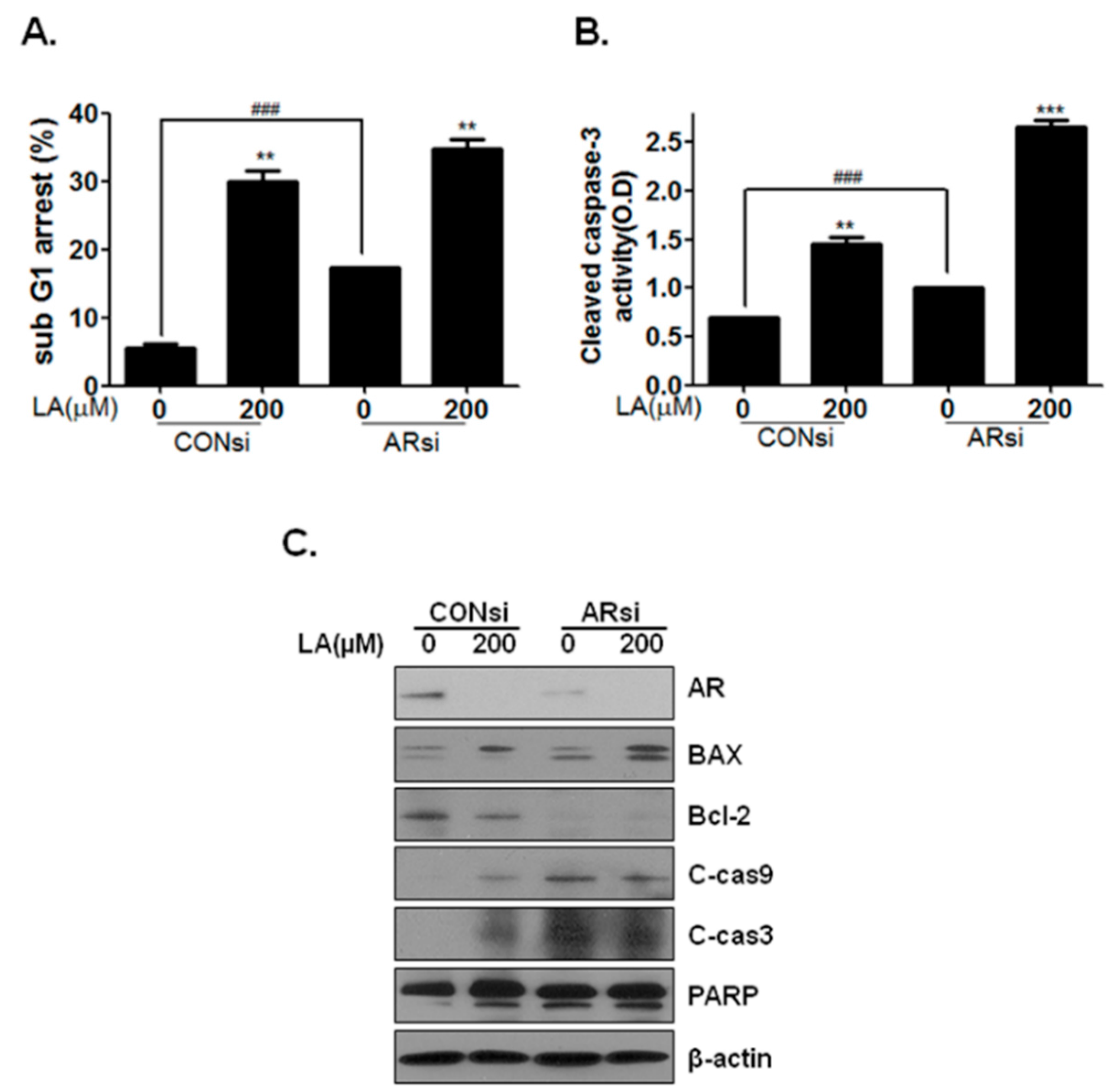 Ijms 17 01066 g005 1024