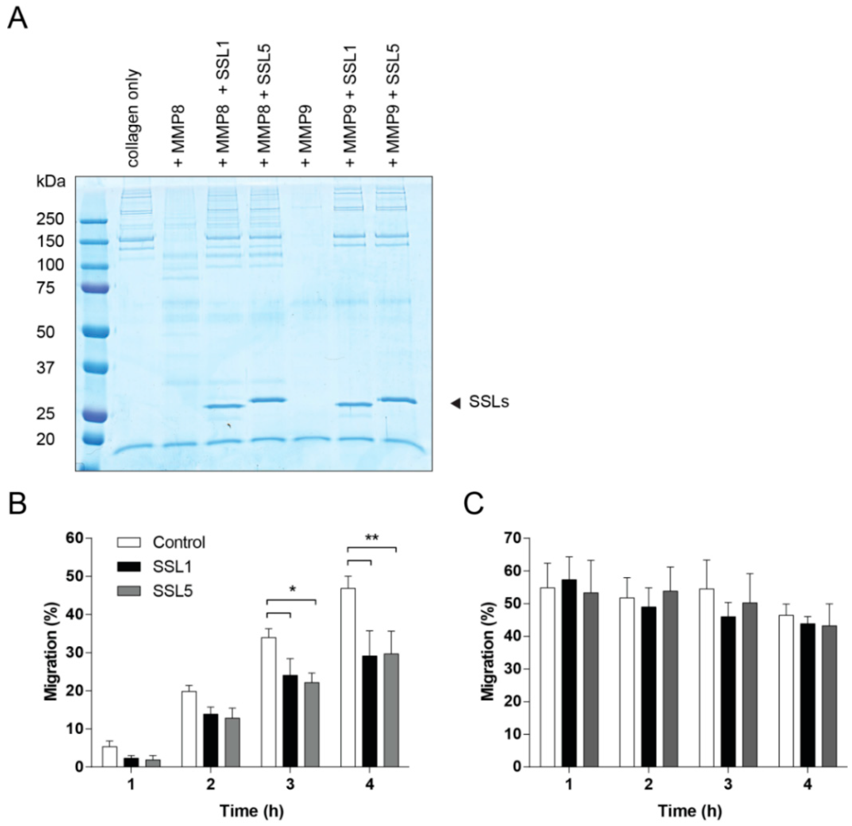 Ijms 17 01072 g005 1024