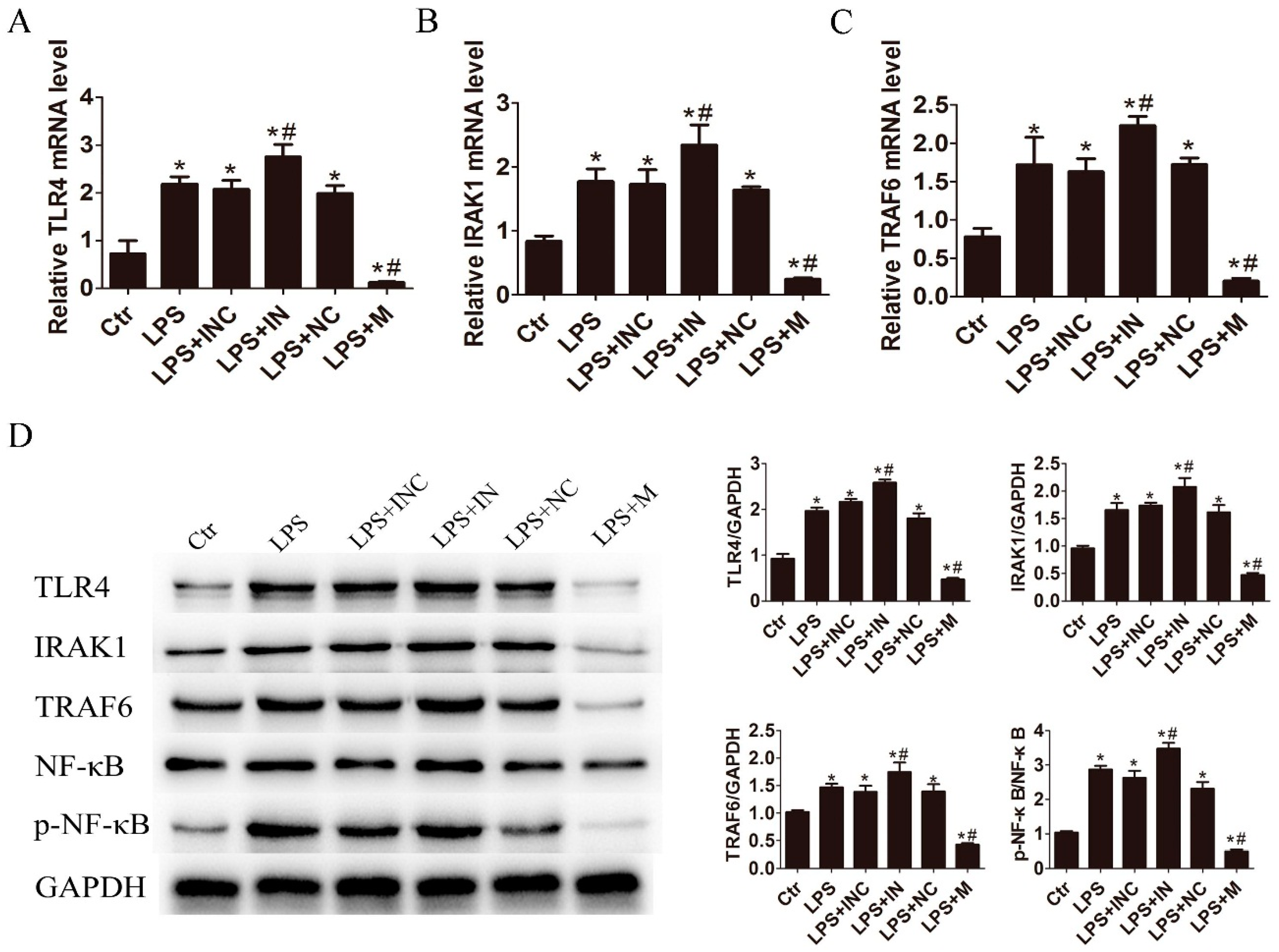 Ijms 17 01076 g003 1024