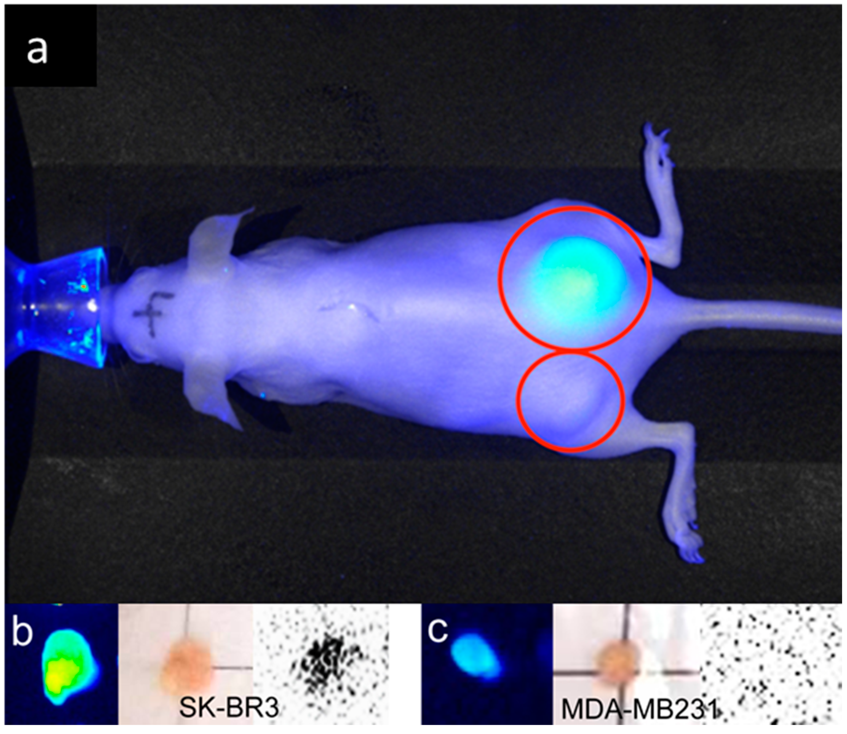 Ijms 17 01086 g009 1024