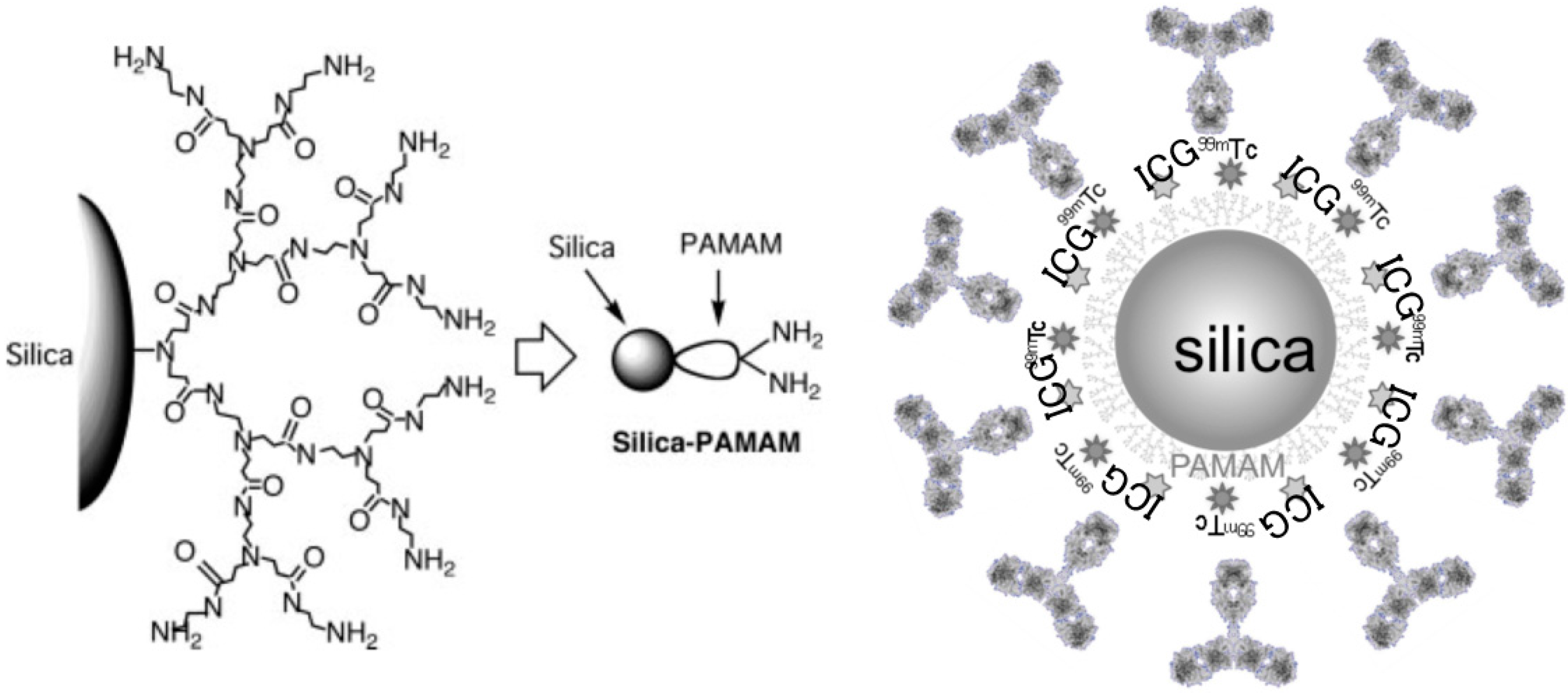 Ijms 17 01086 g012 1024