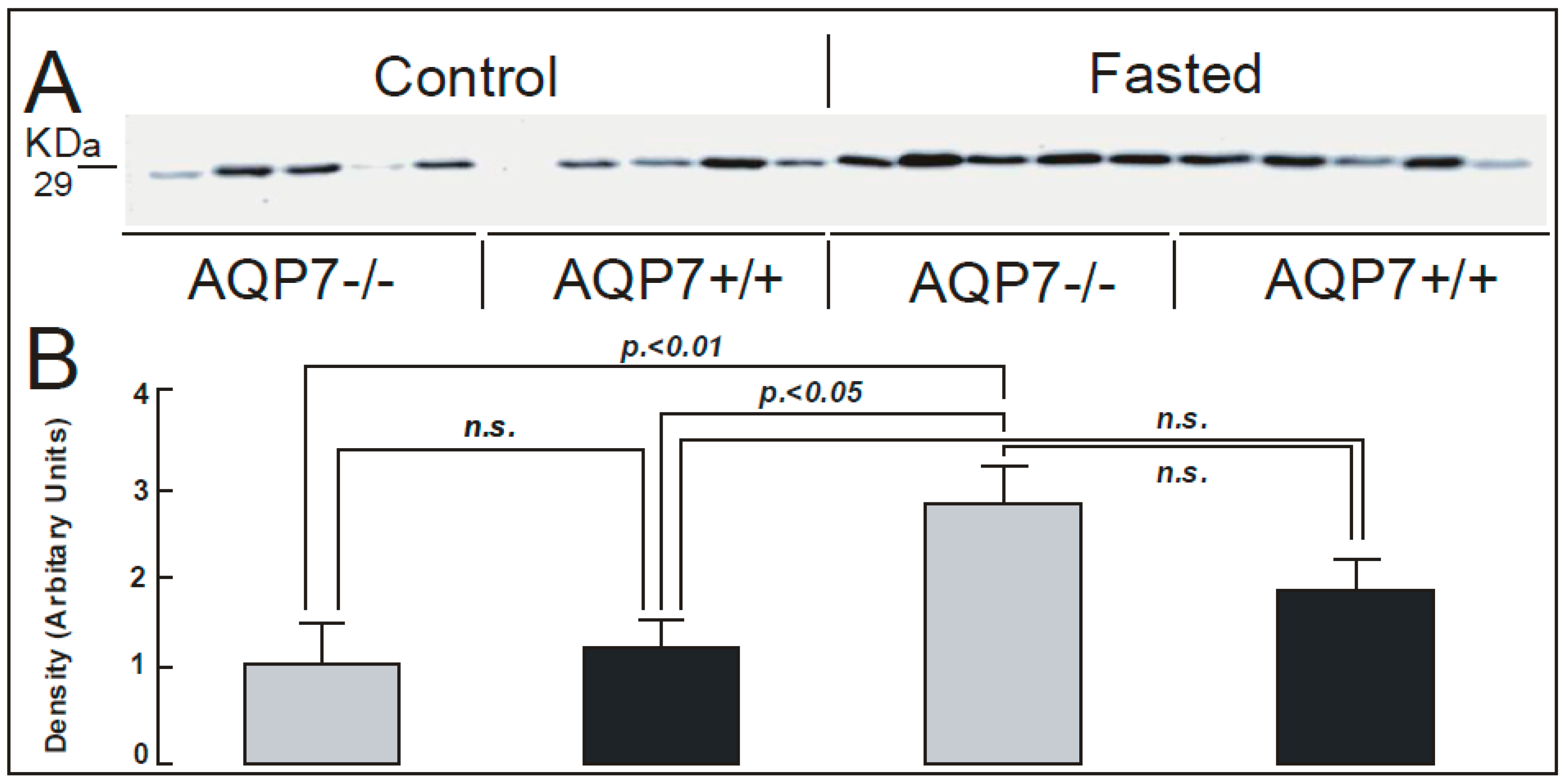 Ijms 17 01101 g002 1024