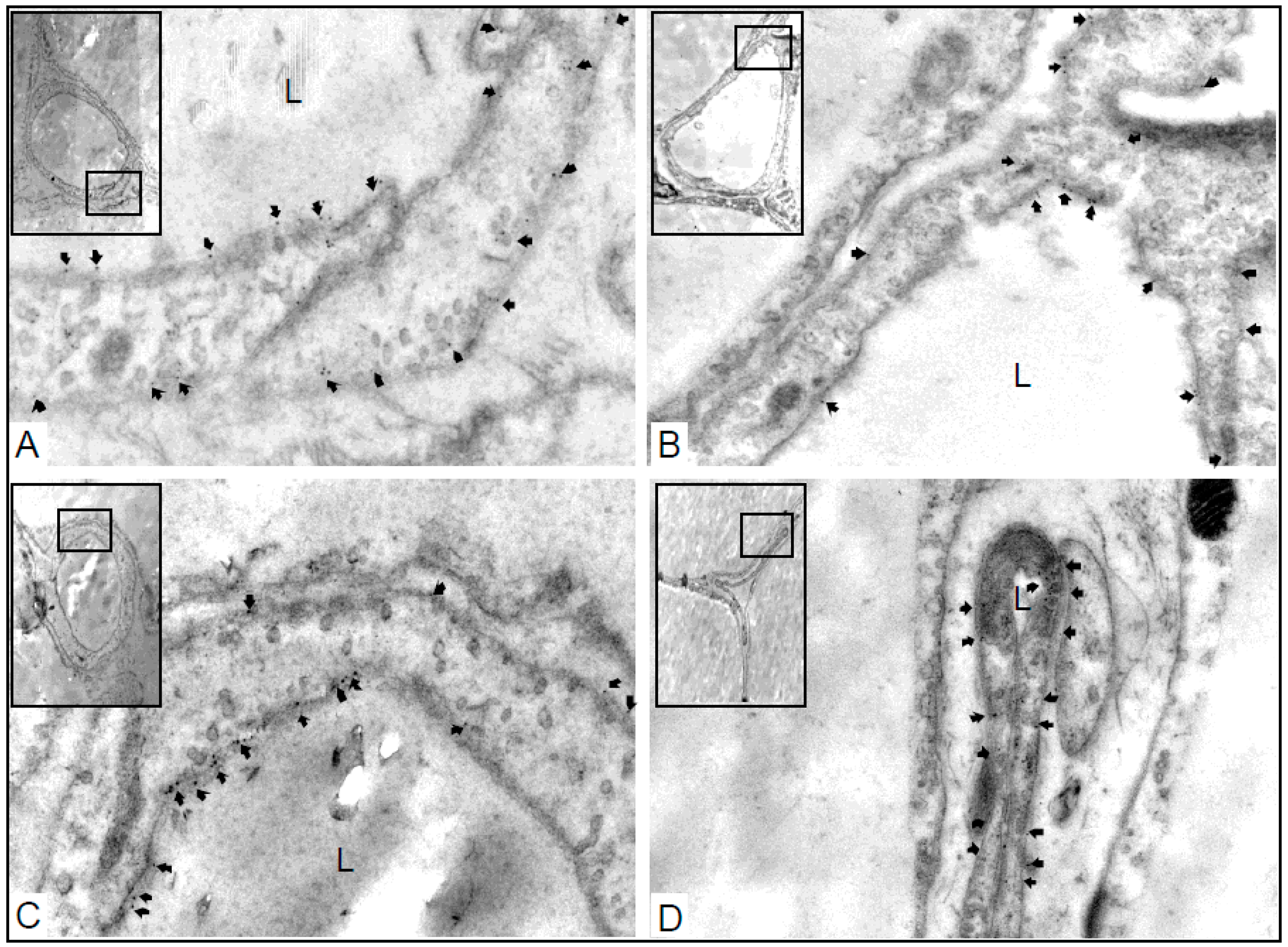 Ijms 17 01101 g003 1024