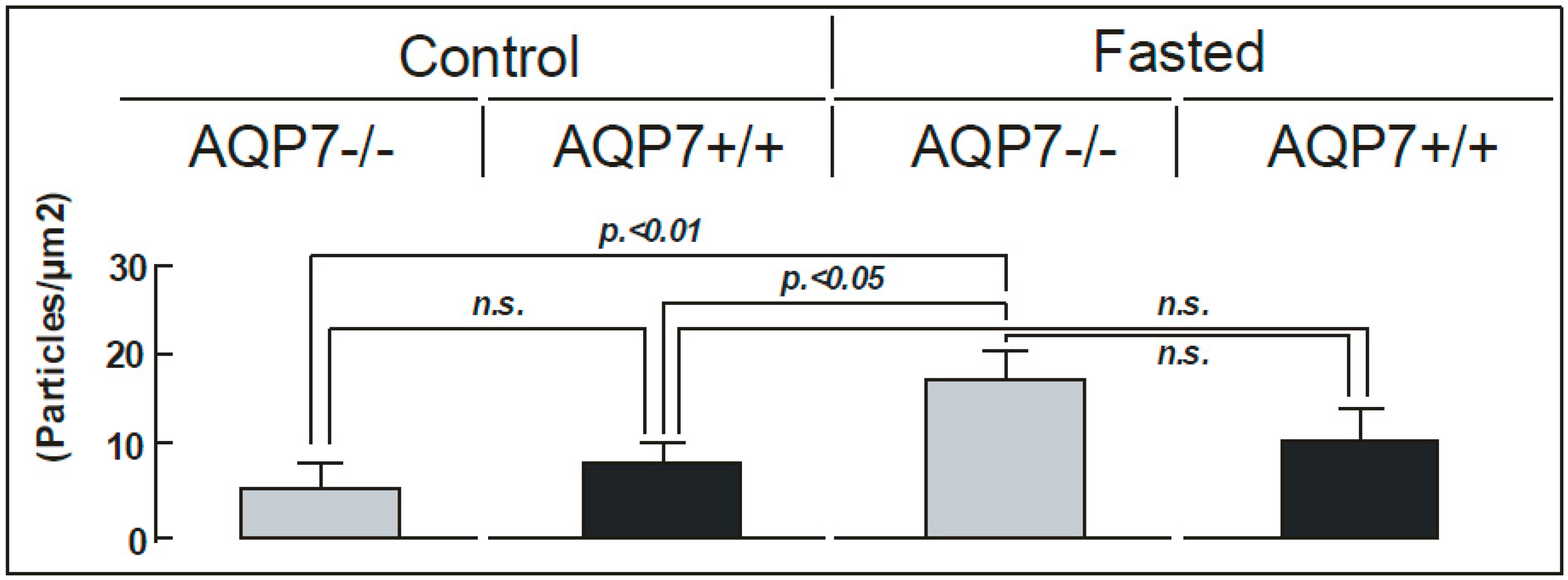 Ijms 17 01101 g004 1024
