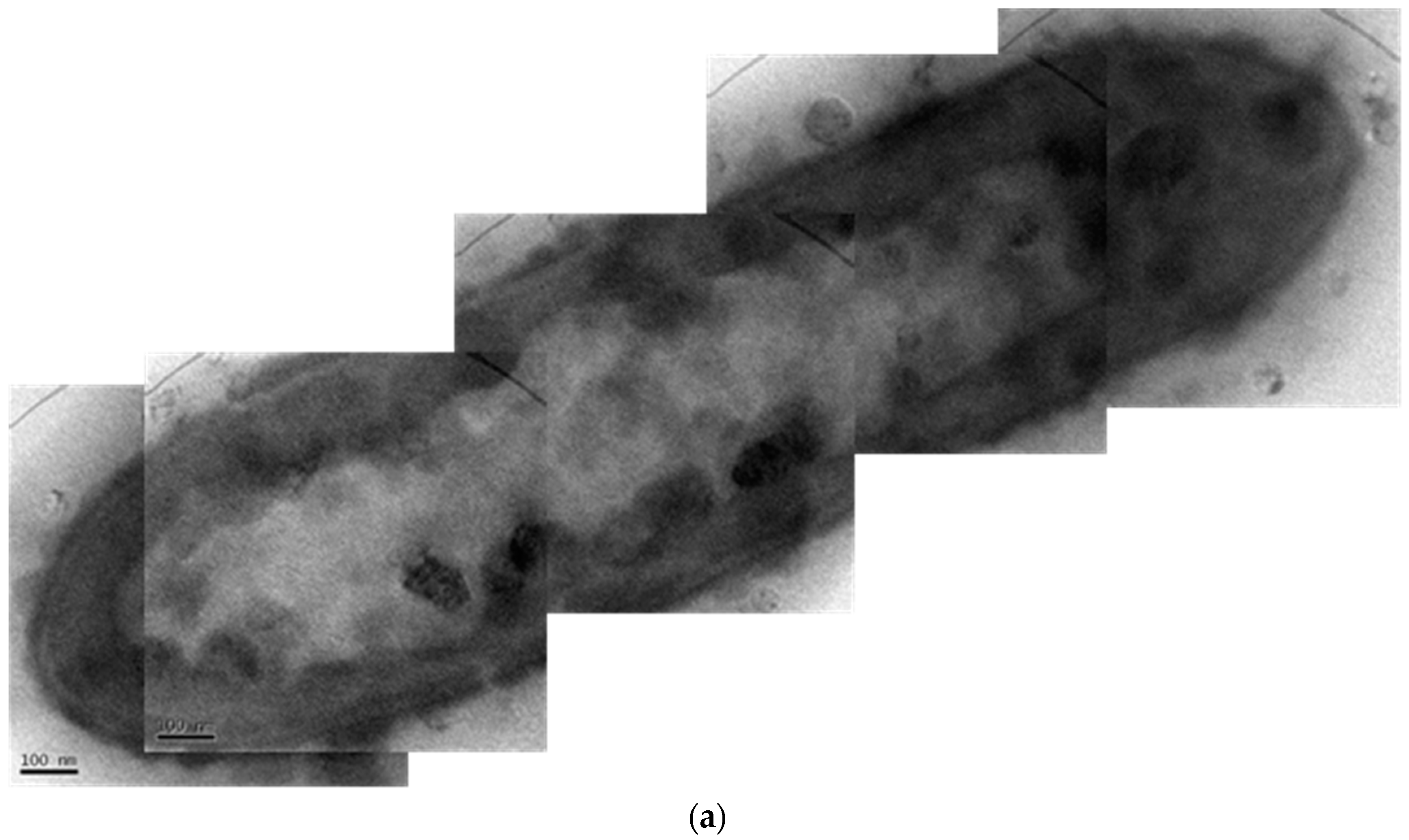 Ijms 17 01104 g010a 1024