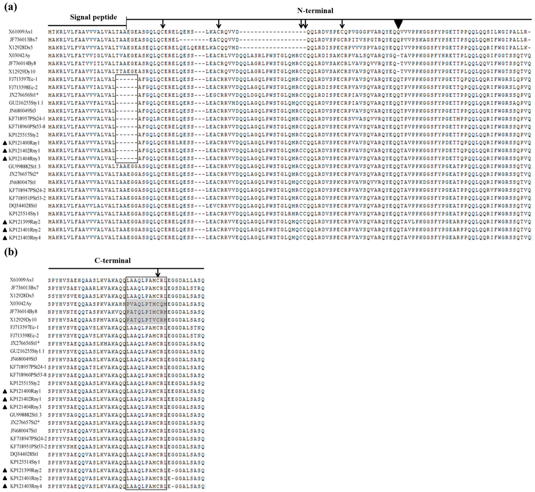 Ijms 17 01115 g004 1024