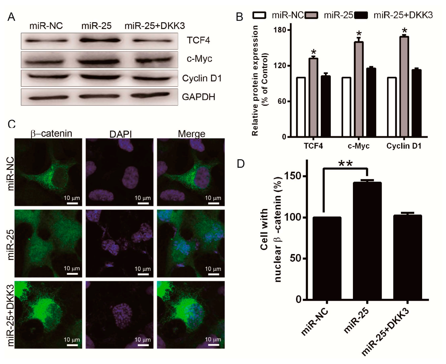 Ijms 17 01124 g005 550