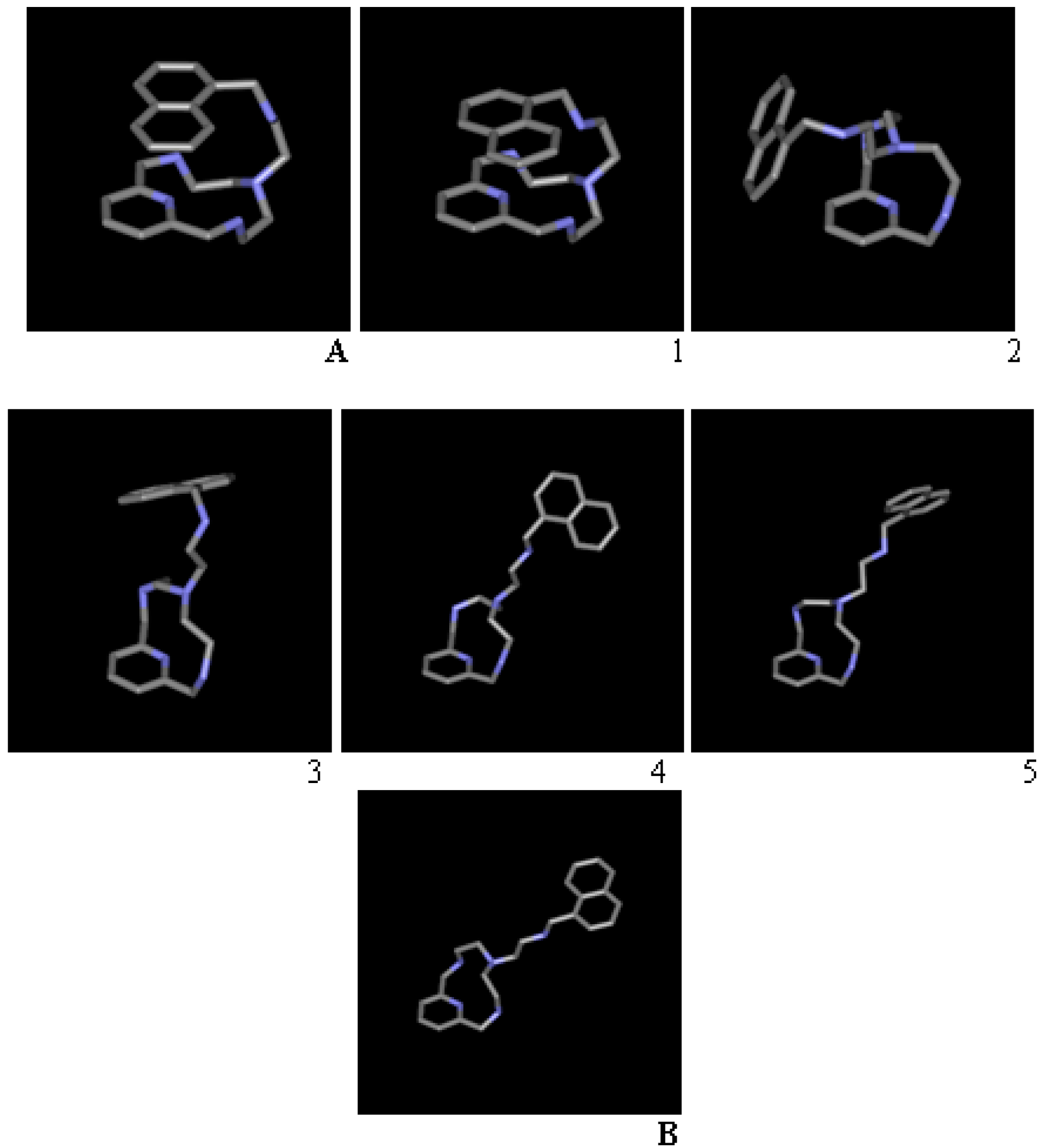 Ijms 17 01131 g004 1024