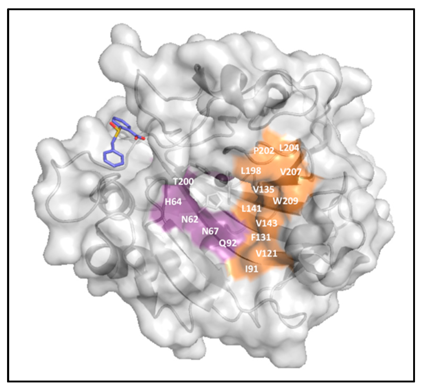 Ijms 17 01150 g007 1024