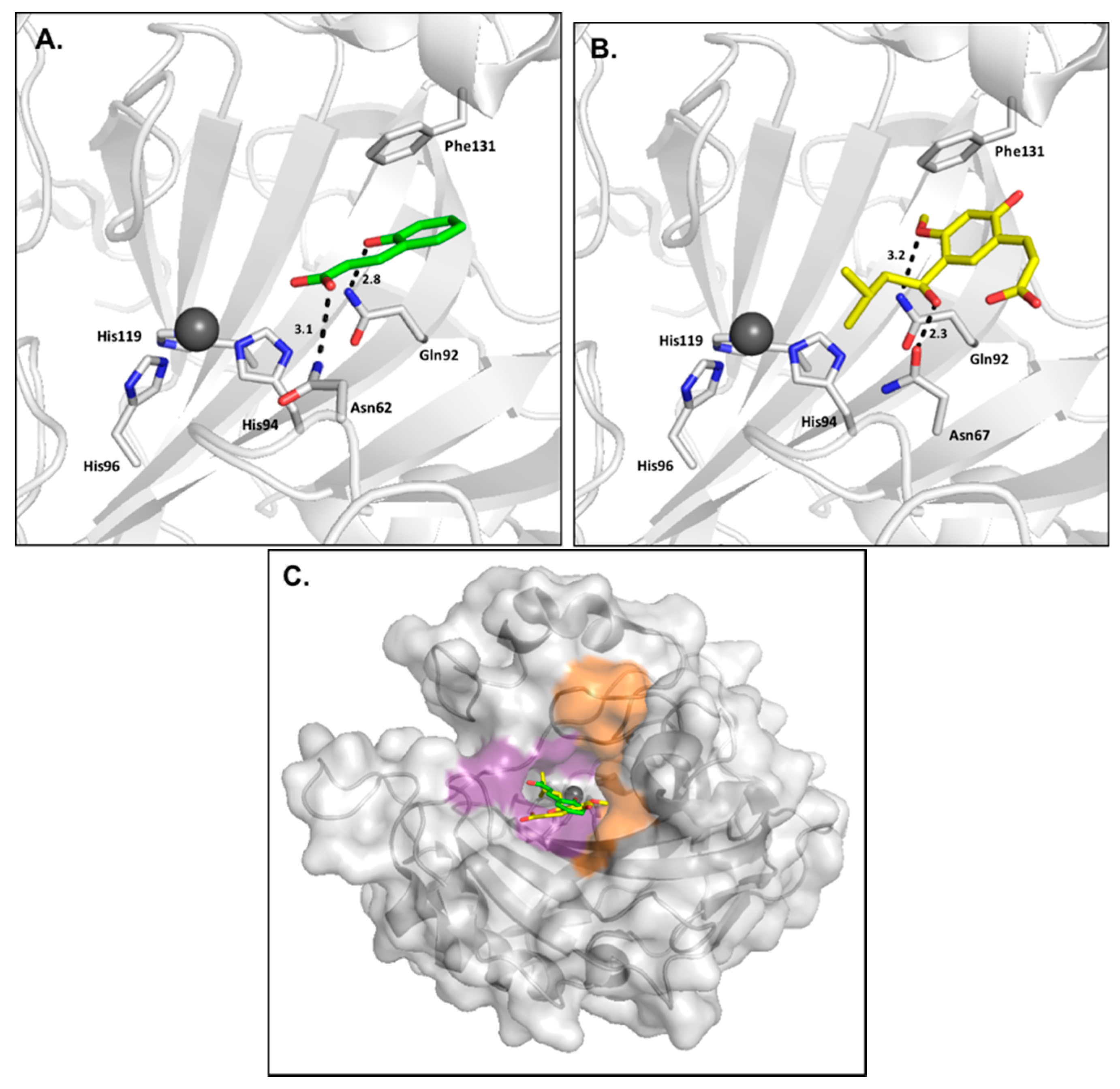 Ijms 17 01150 g008 1024
