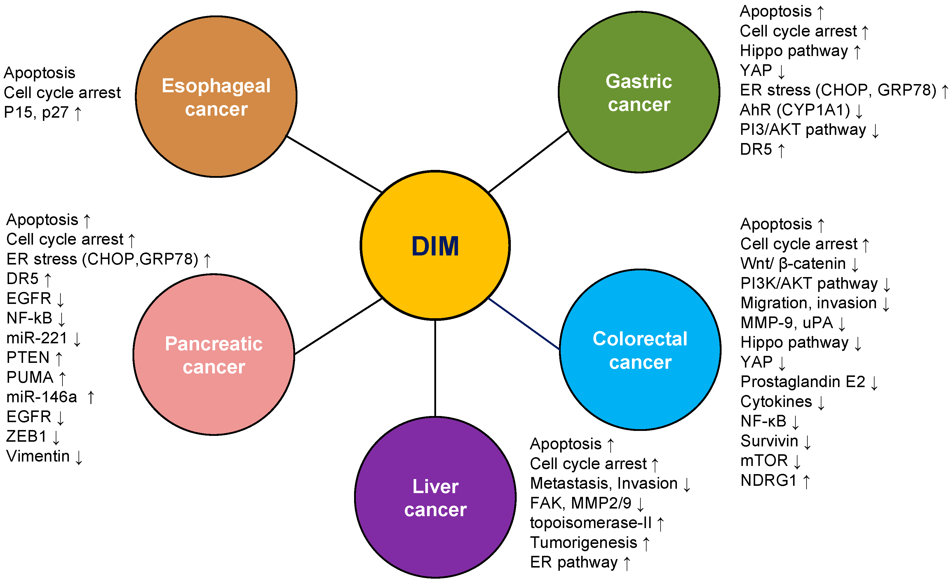 Ijms 17 01155 g003 1024