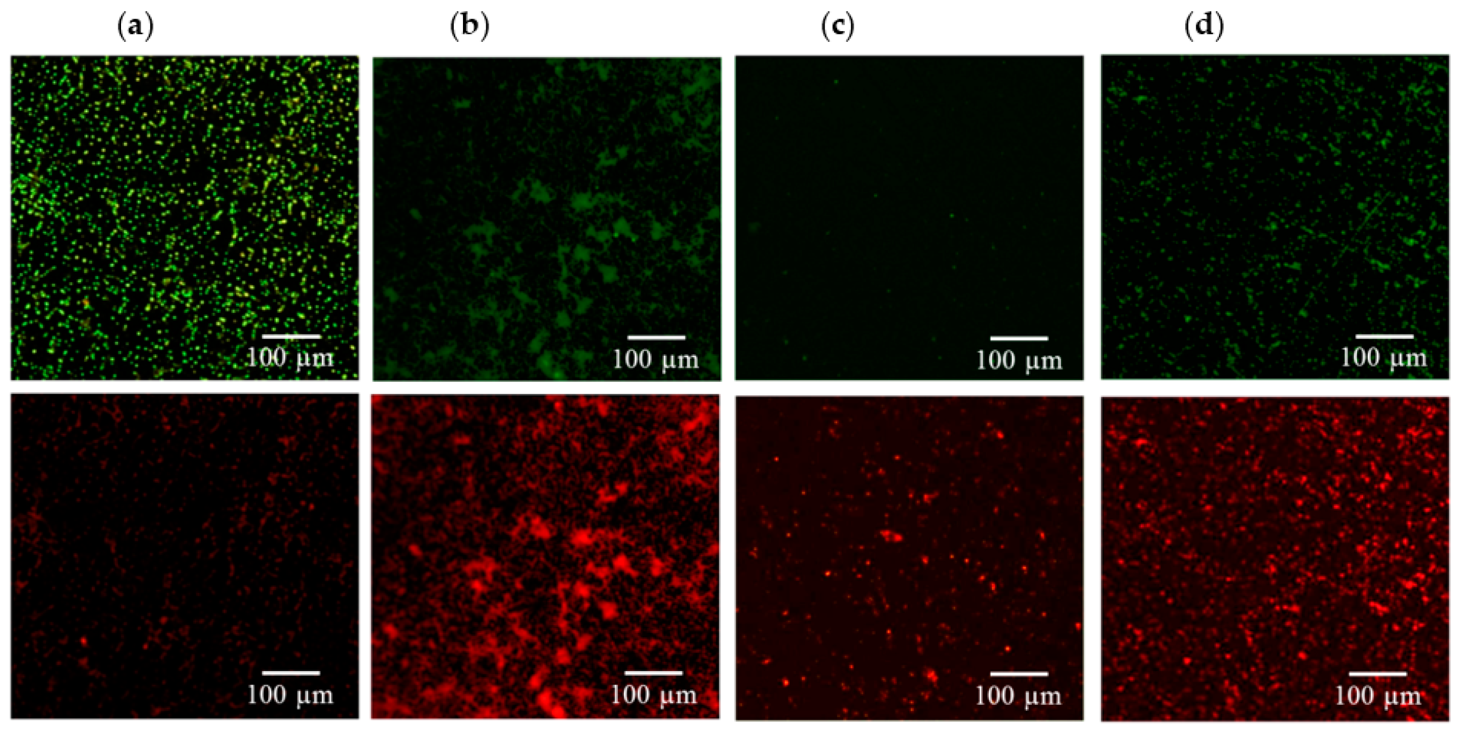Ijms 17 01161 g003