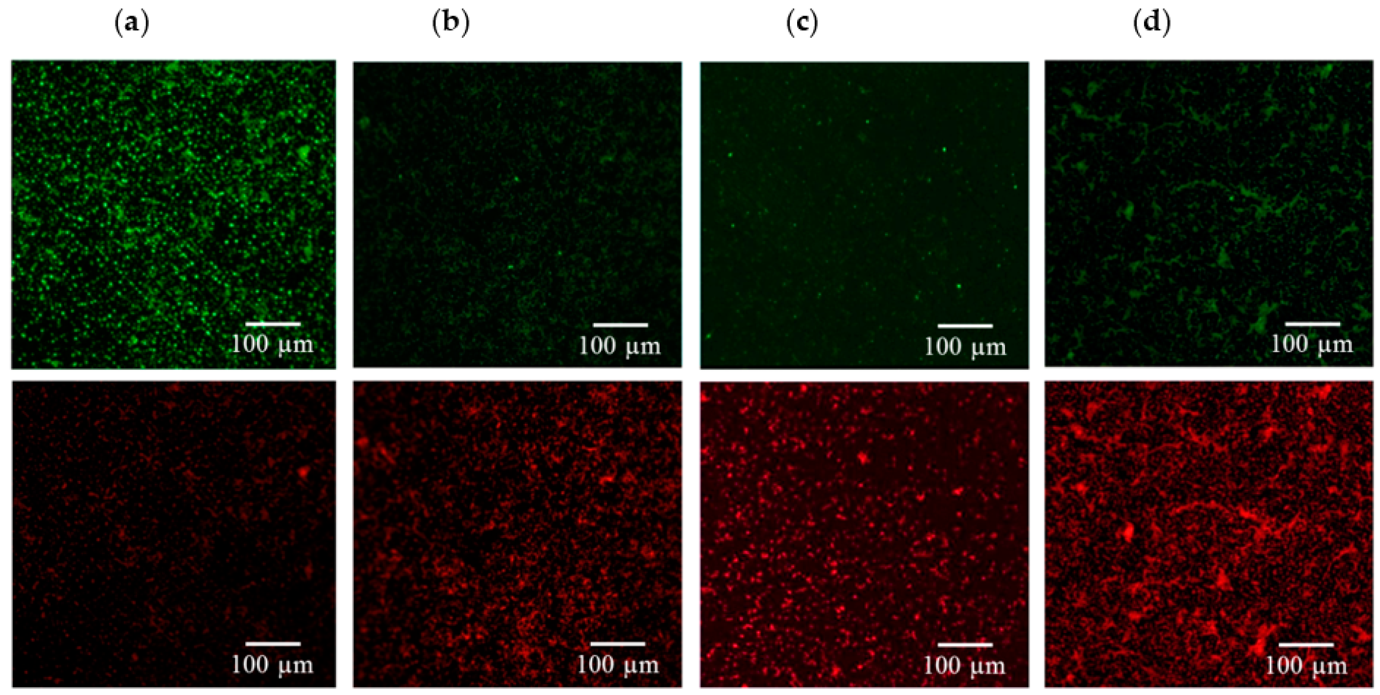 Ijms 17 01161 g004