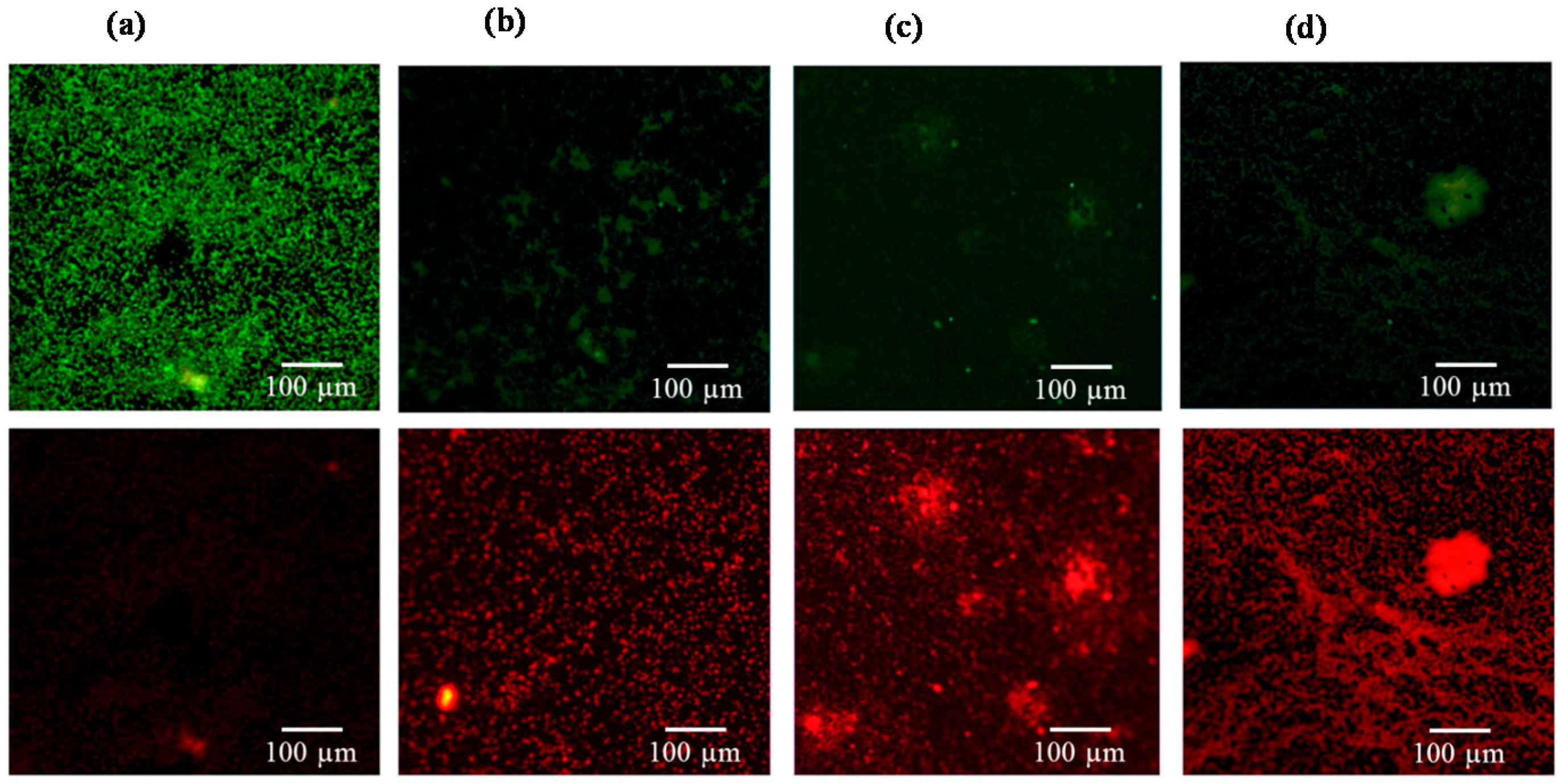 Ijms 17 01161 g005