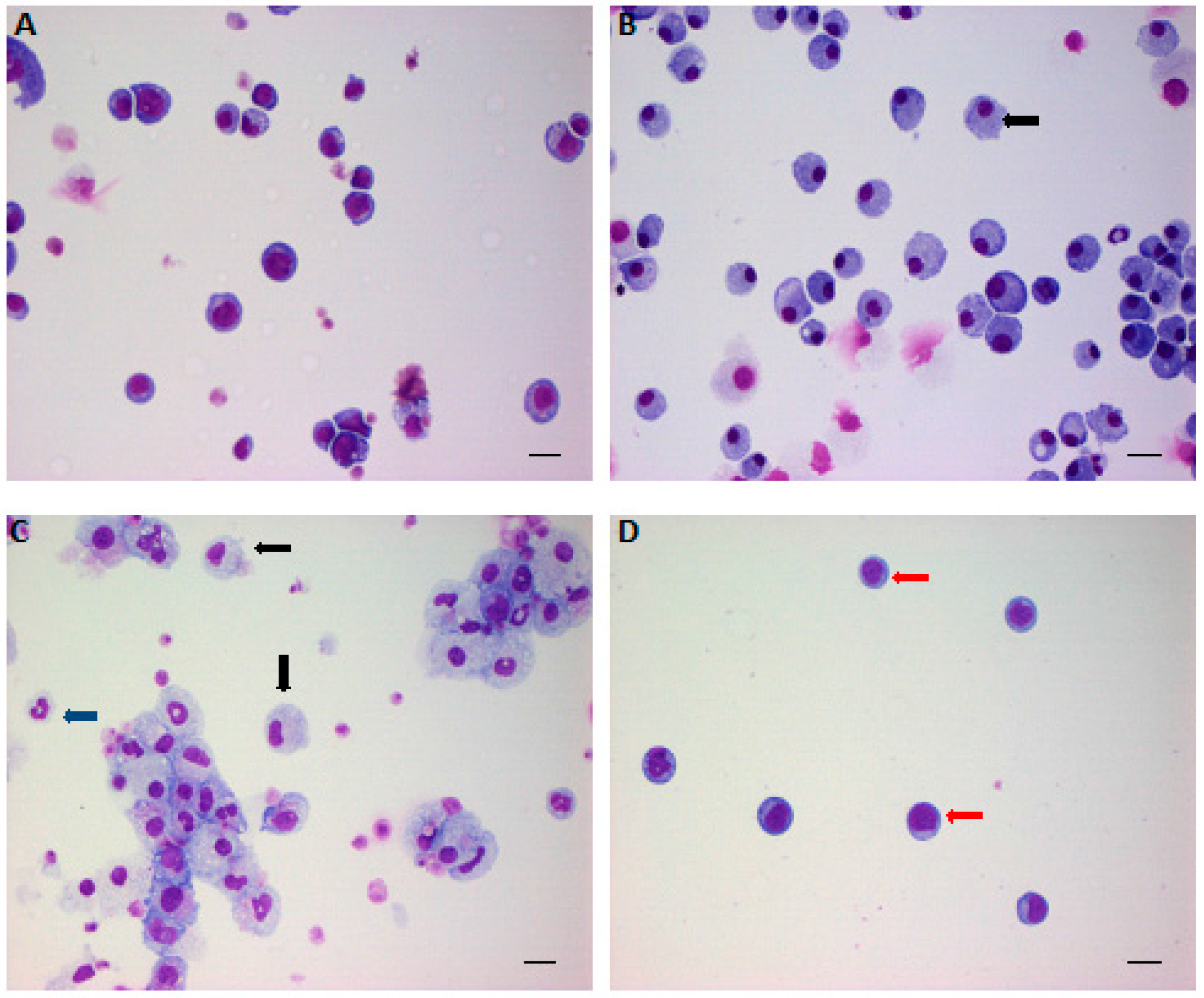 Ijms 17 01162 g001 1024