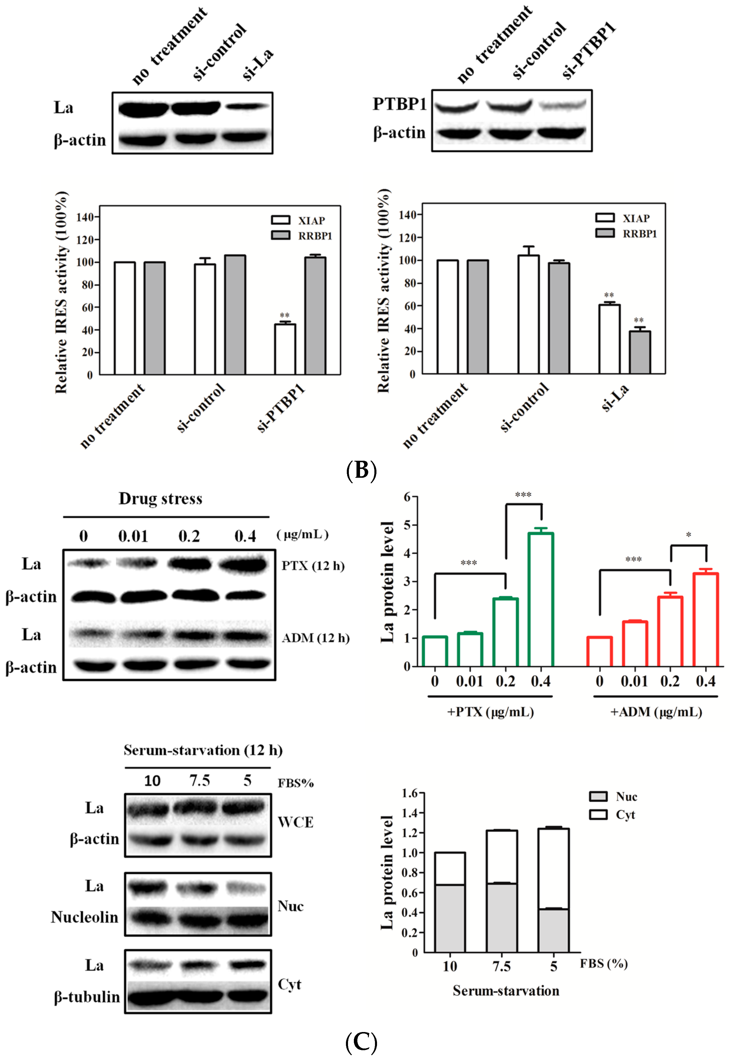 Ijms 17 01174 g004b 1024