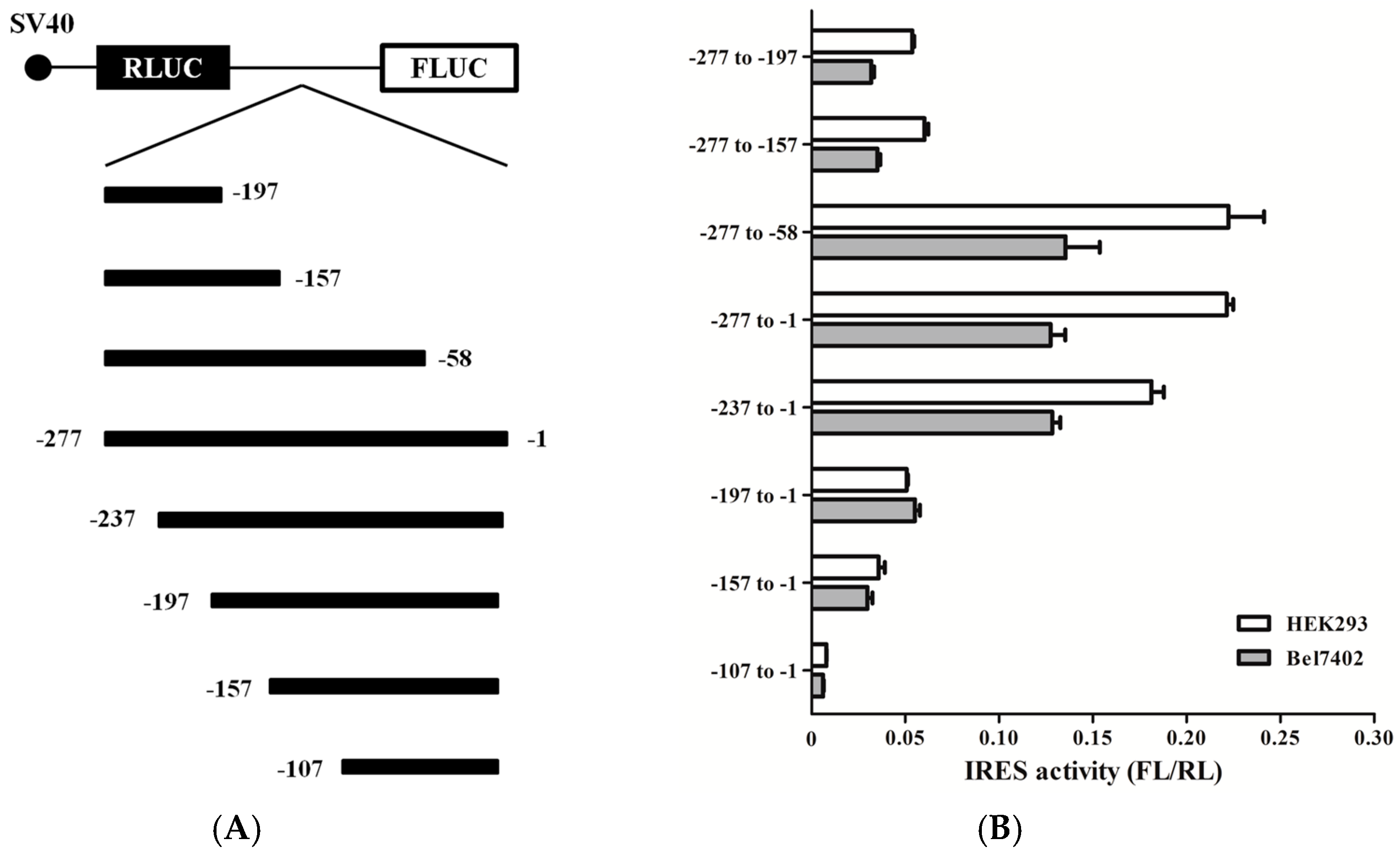 Ijms 17 01174 g005a 1024