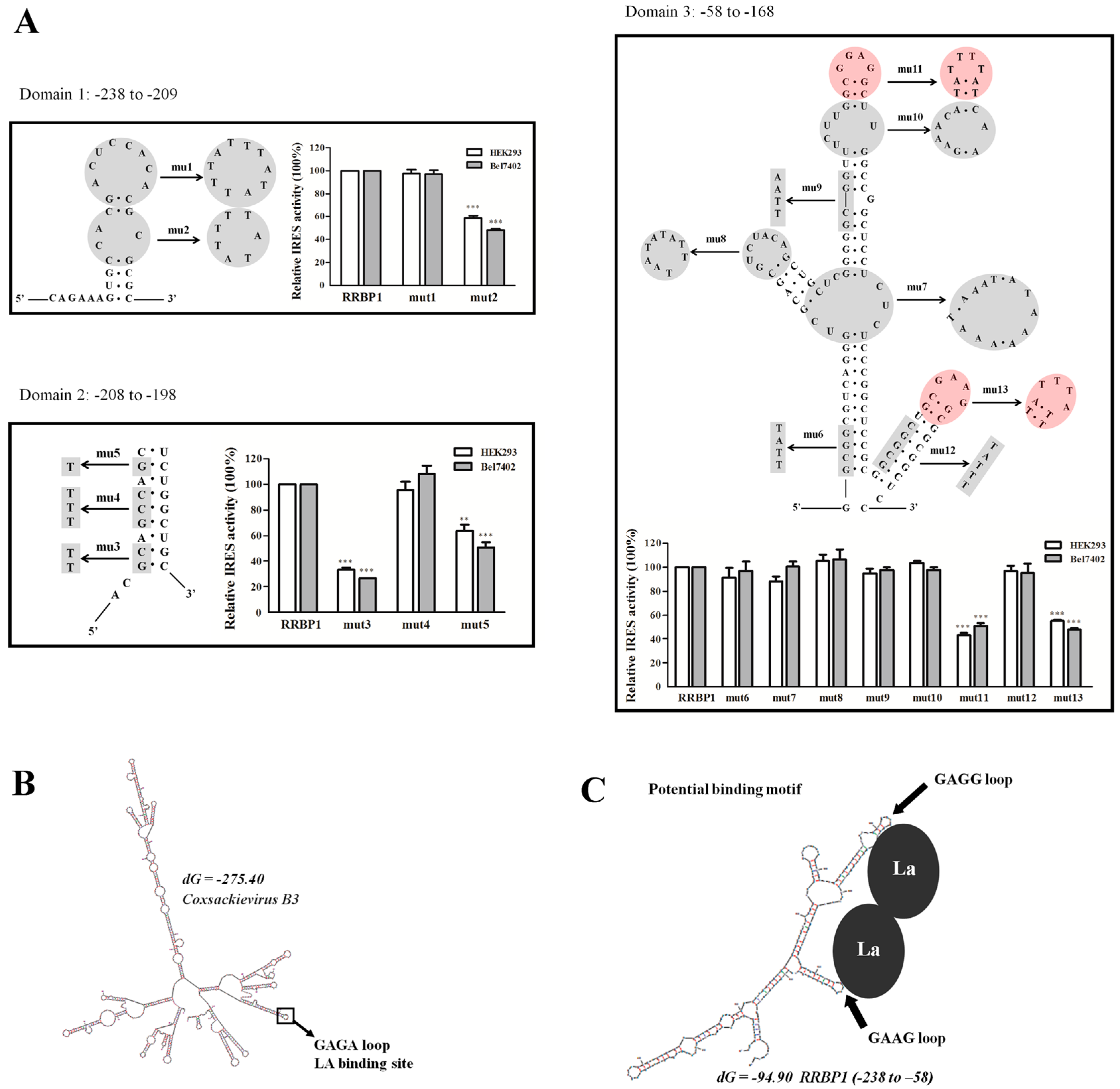 Ijms 17 01174 g006 1024