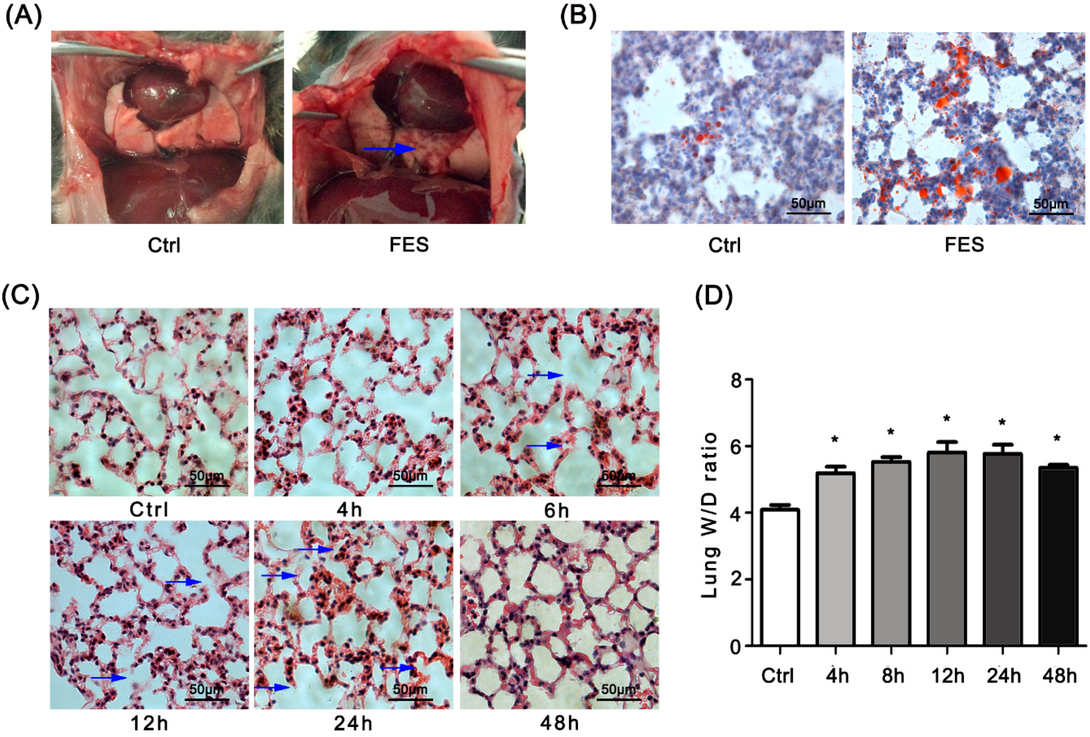 Ijms 17 01183 g001 1024