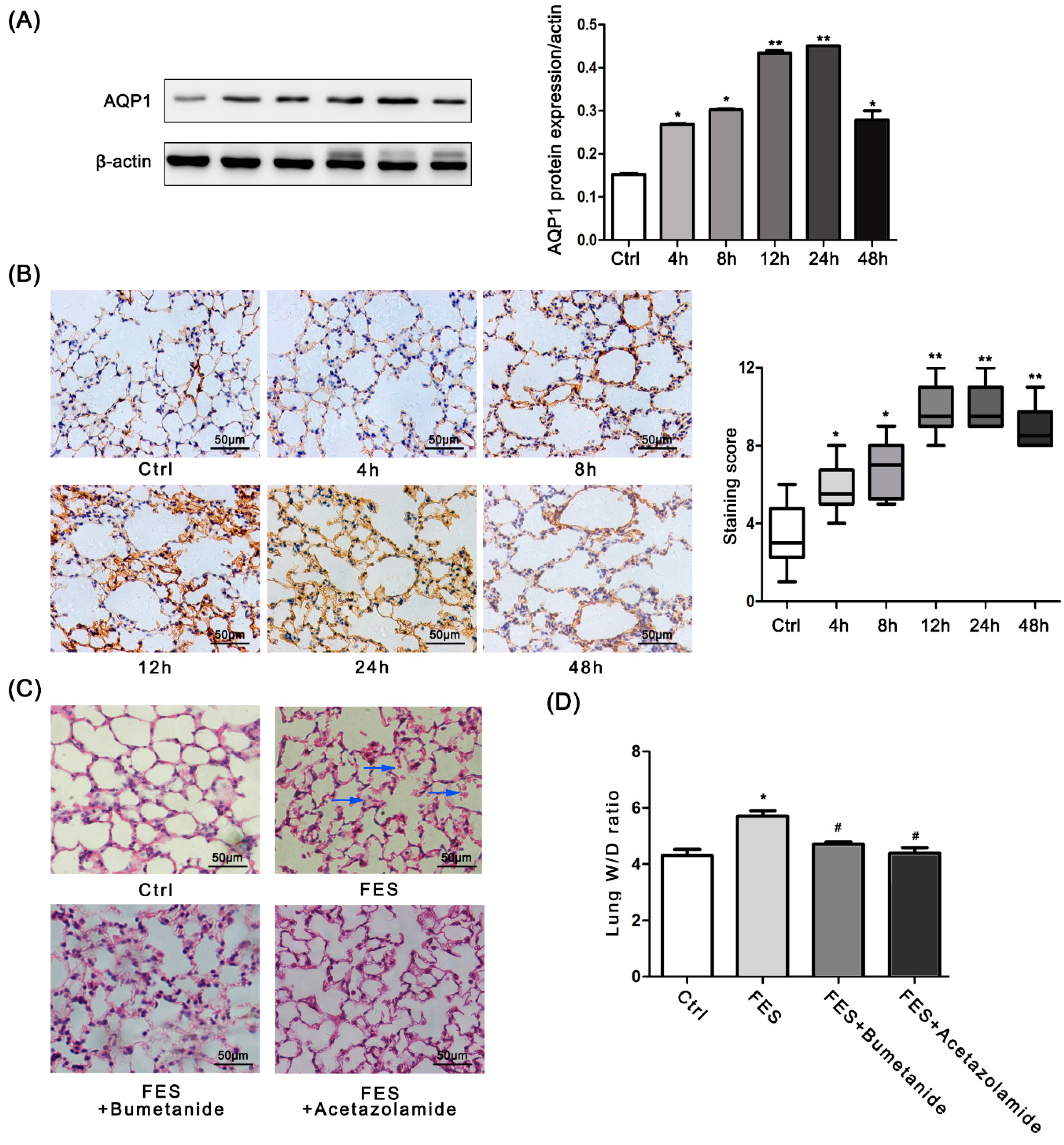 Ijms 17 01183 g002 1024