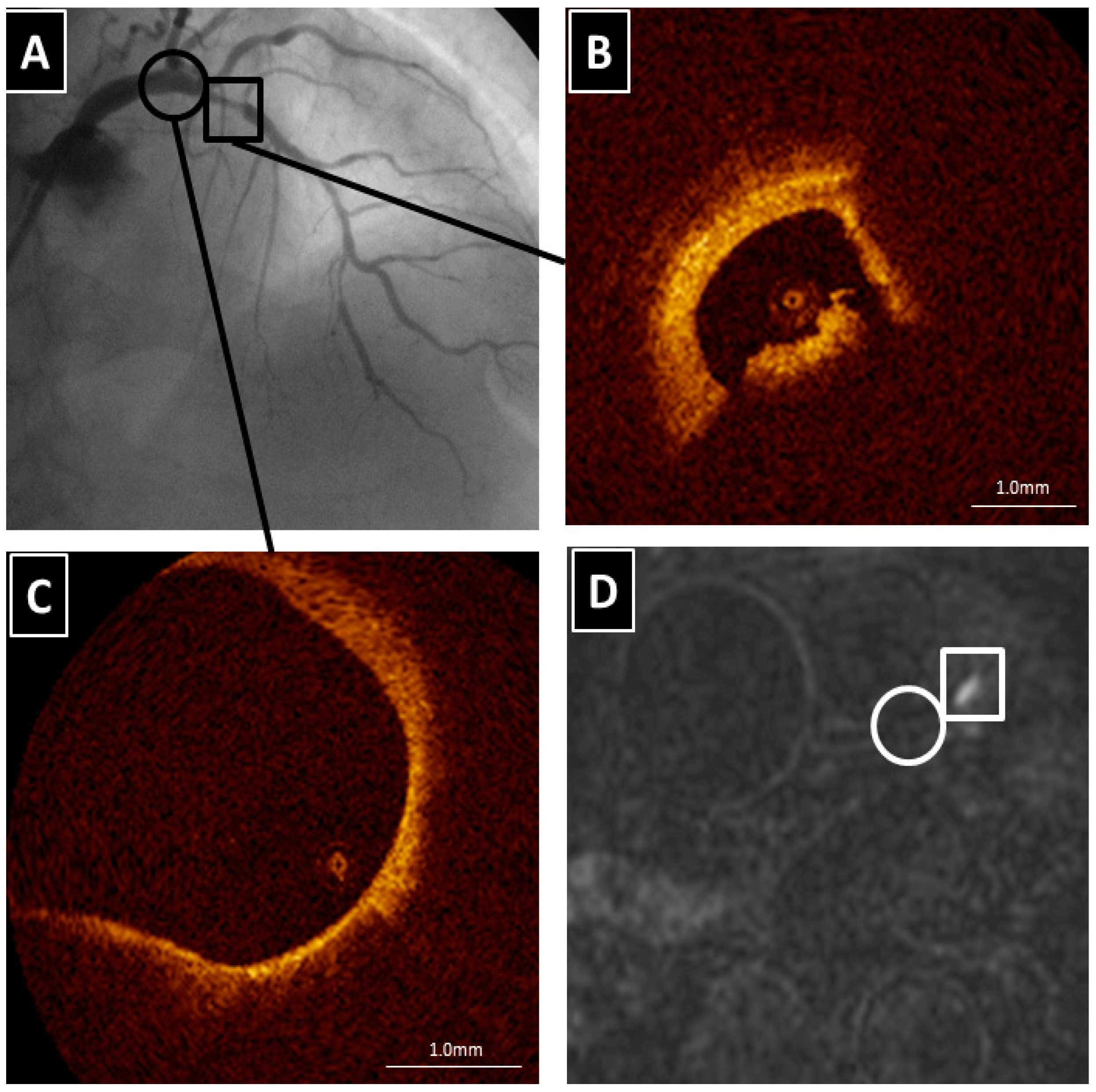 Ijms 17 01187 g003 1024