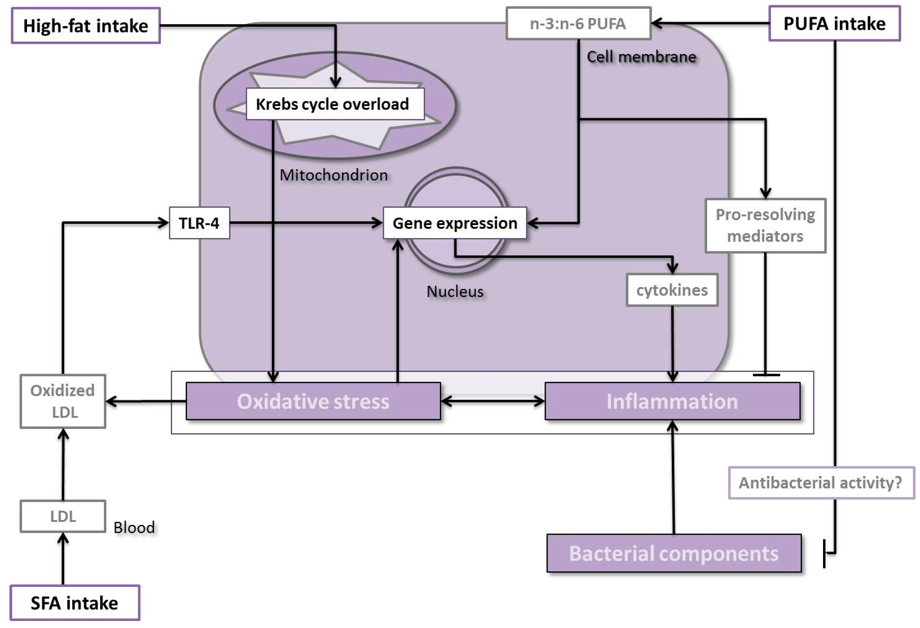 Ijms 17 01202 g002 1024