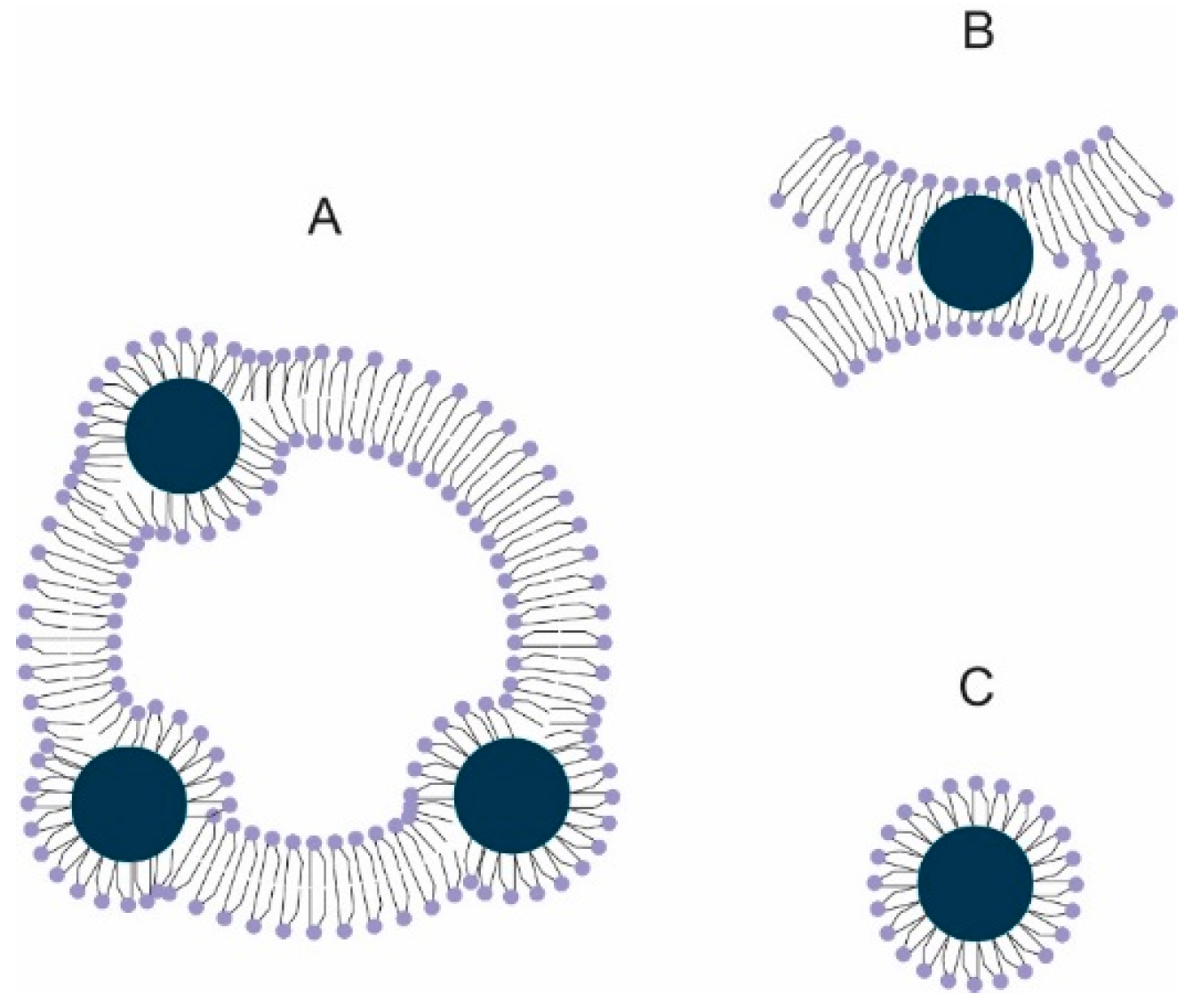 Ijms 17 01209 g001 1024