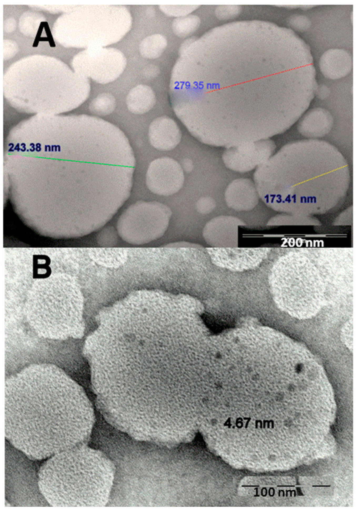 Ijms 17 01209 g002 1024